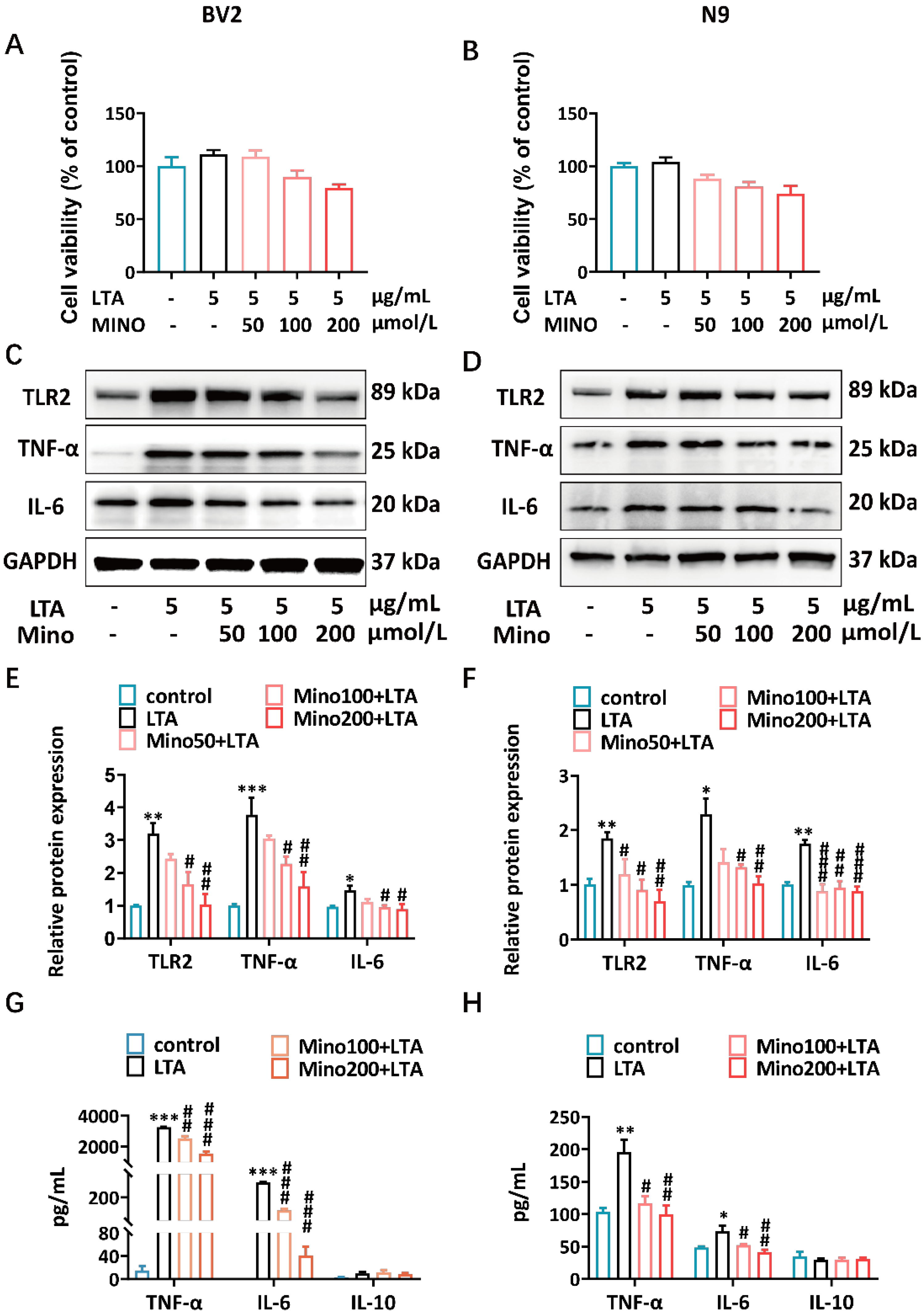 Brainsci 15 00128 g002