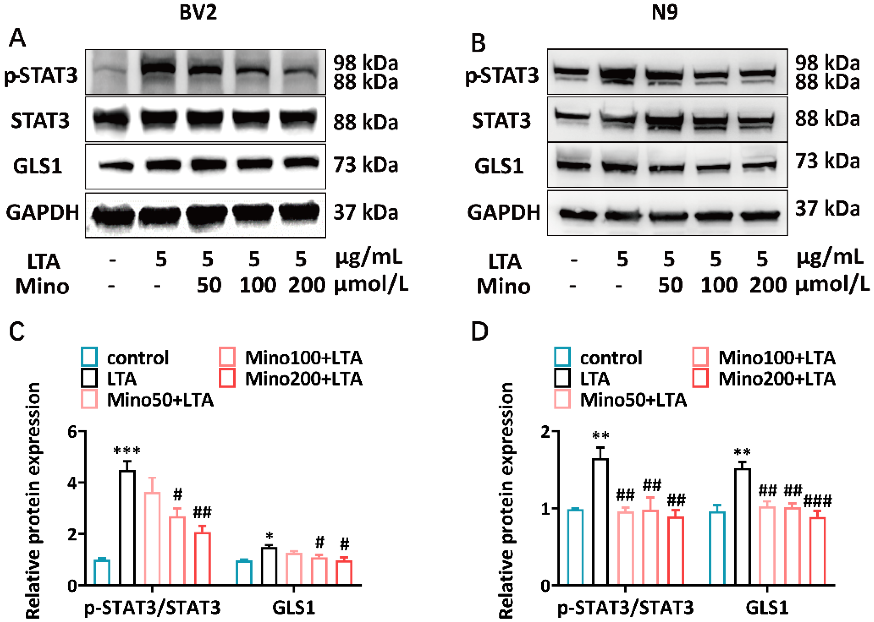 Brainsci 15 00128 g003
