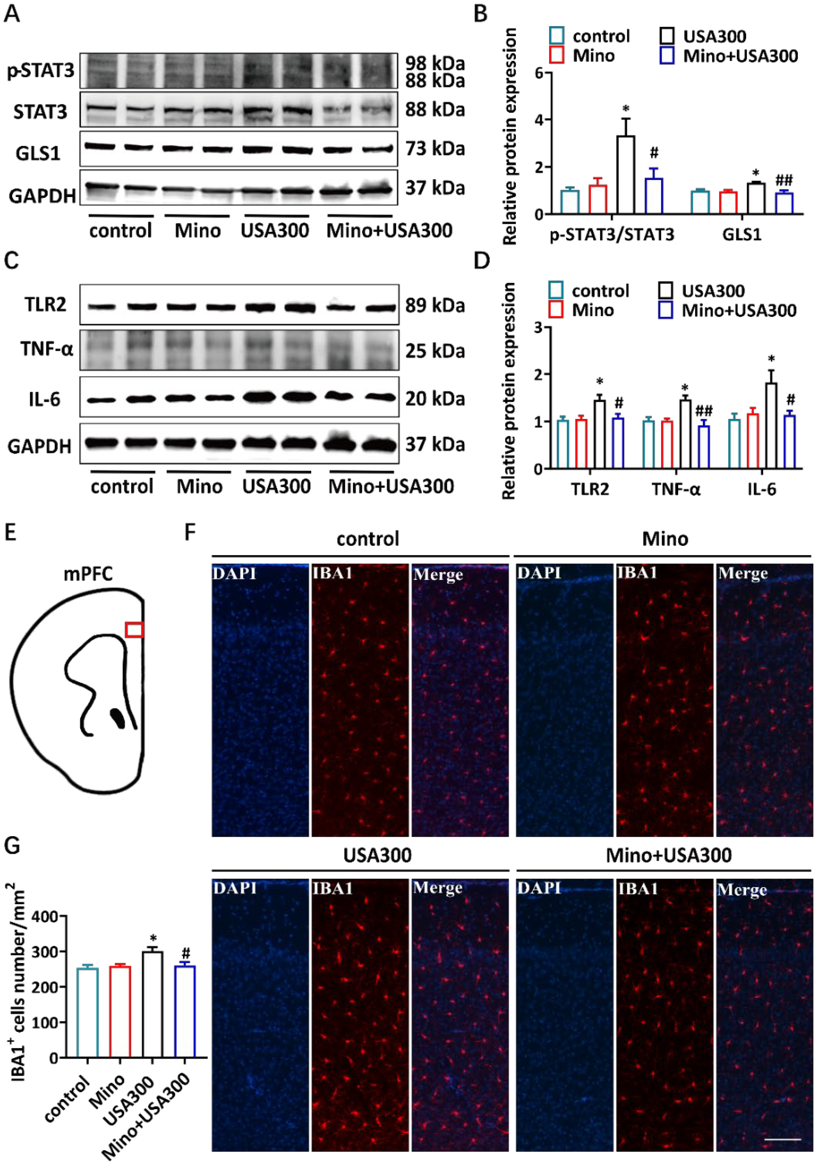 Brainsci 15 00128 g005