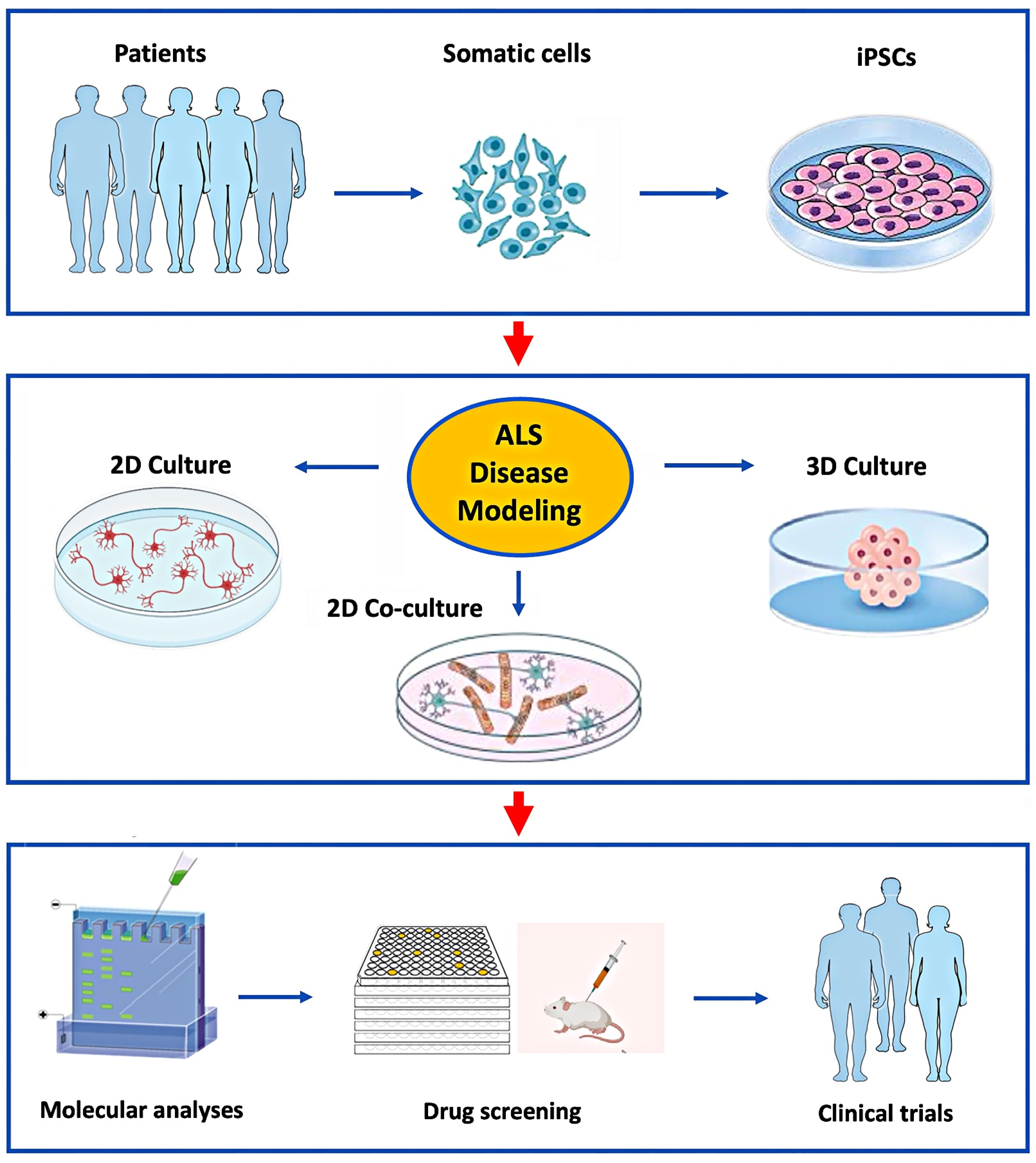 Brainsci 15 00134 g001