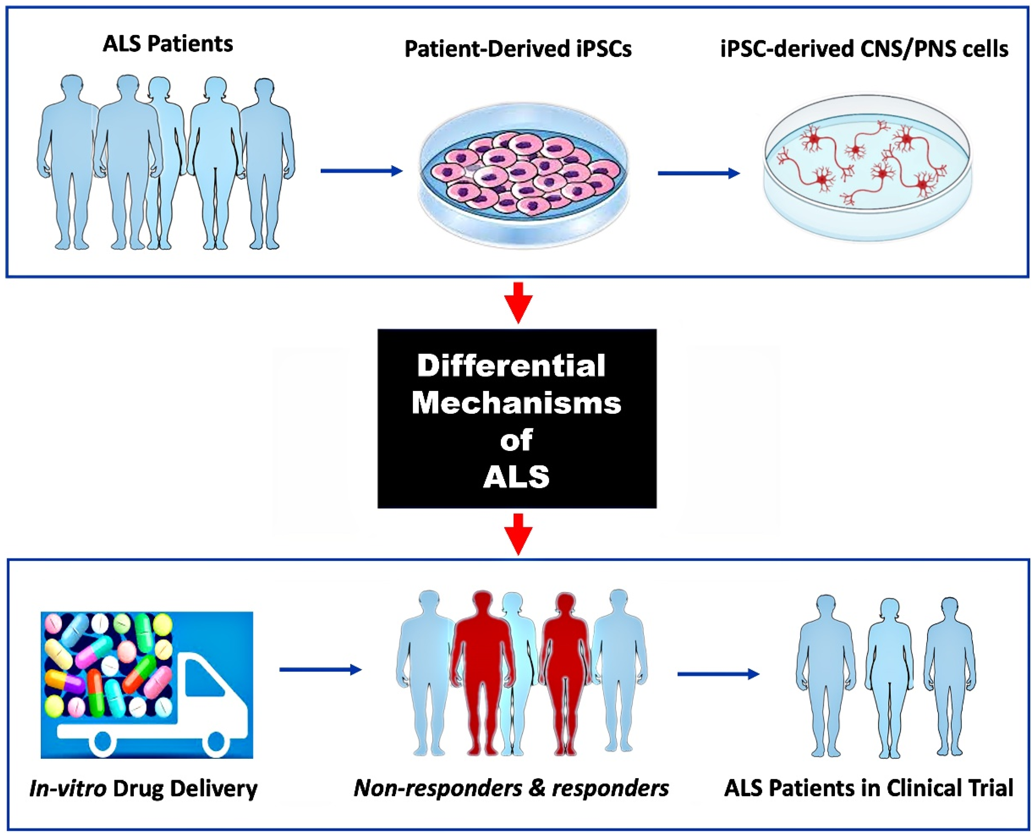 Brainsci 15 00134 g003