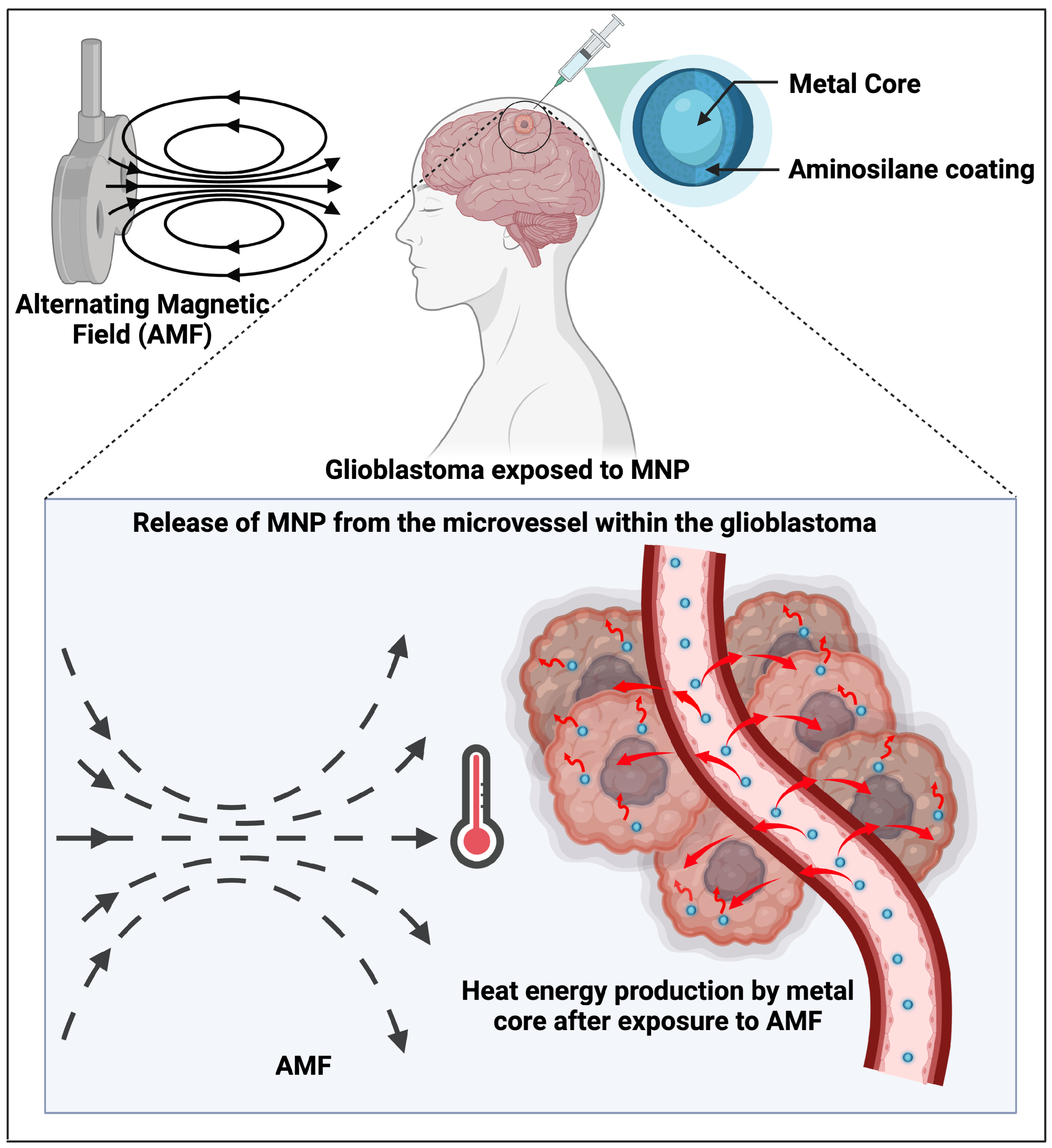 Brainsci 15 00136 g002
