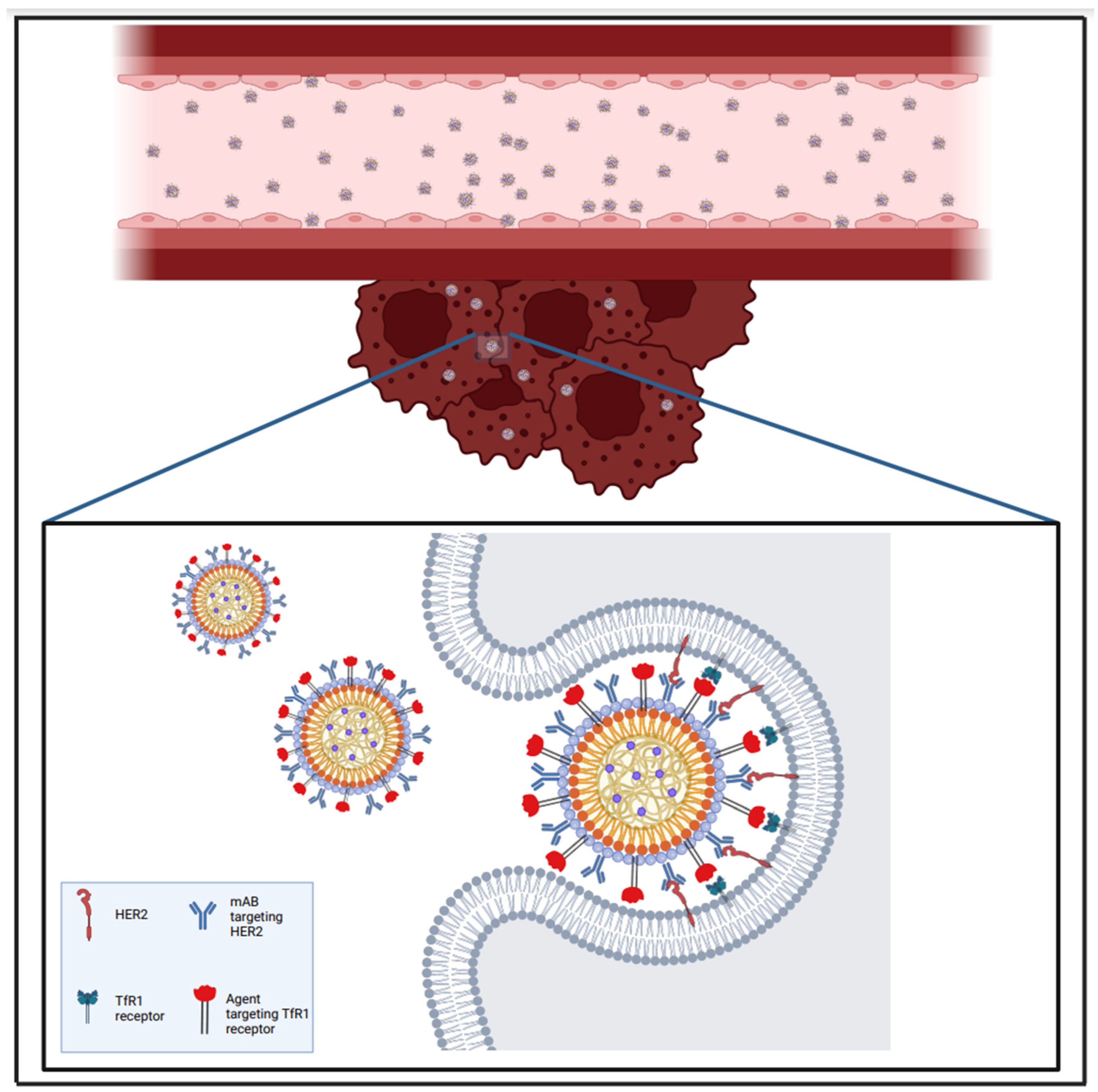 Brainsci 15 00136 g004