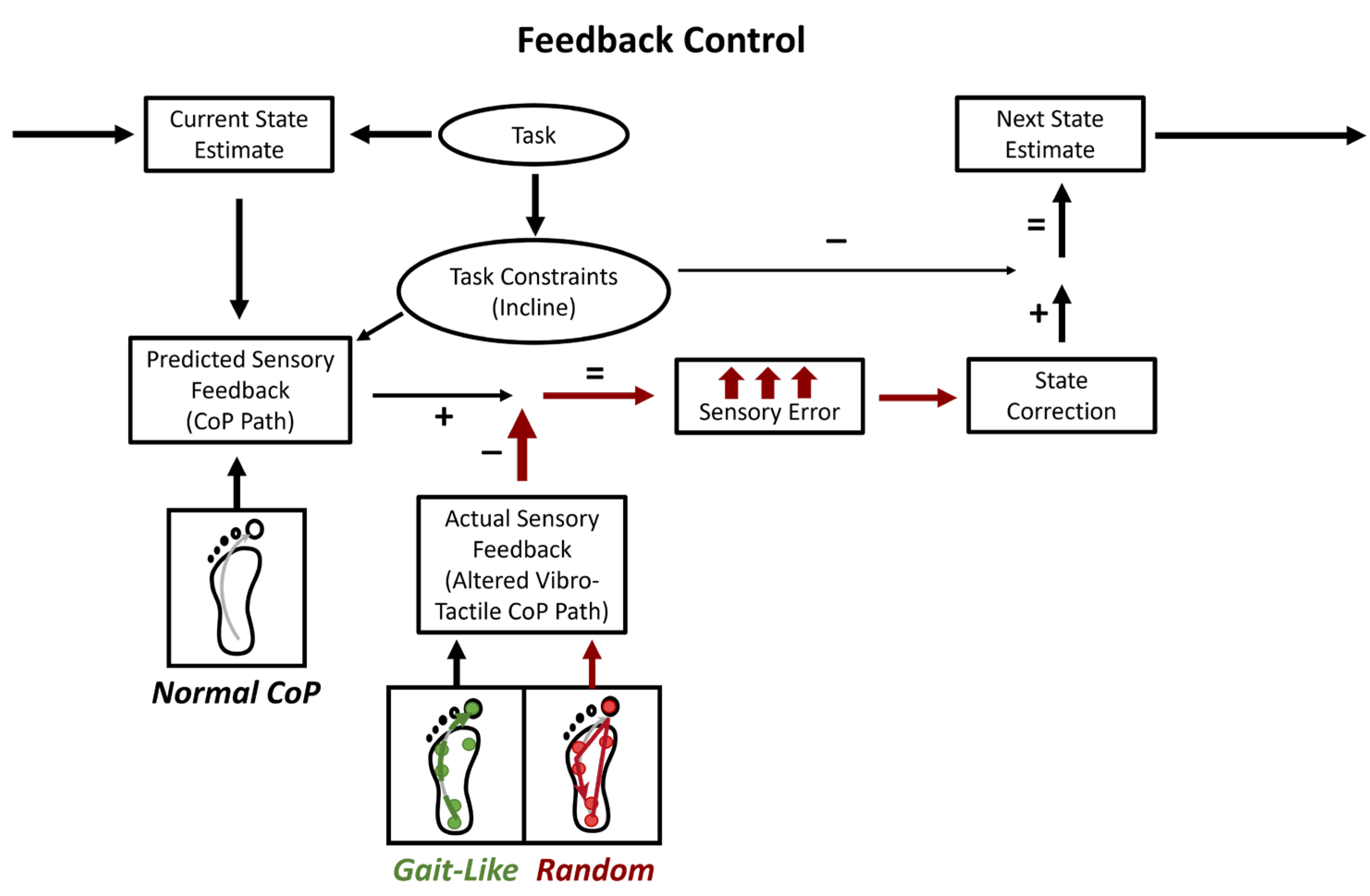 Brainsci 15 00138 g001
