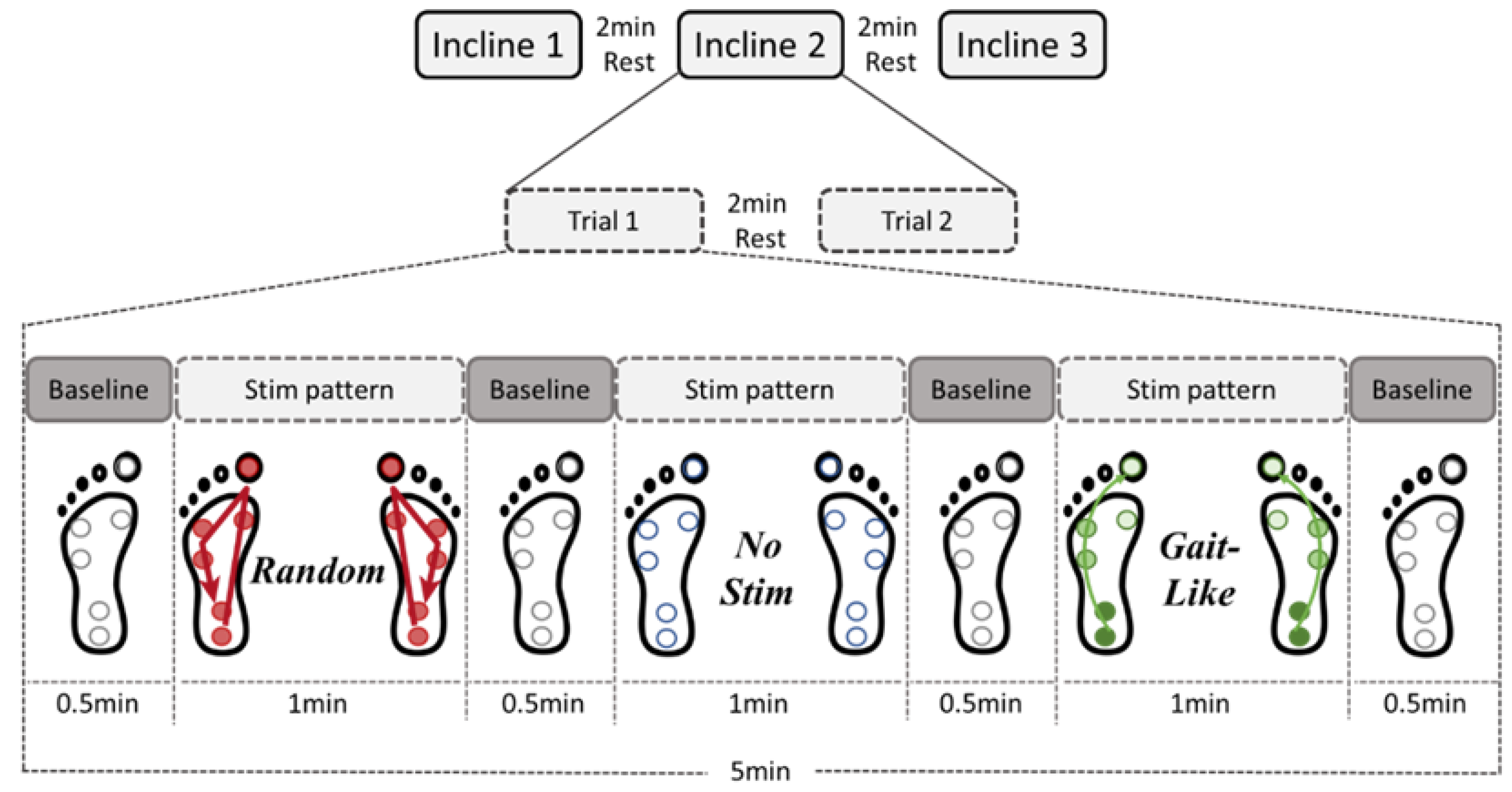 Brainsci 15 00138 g004