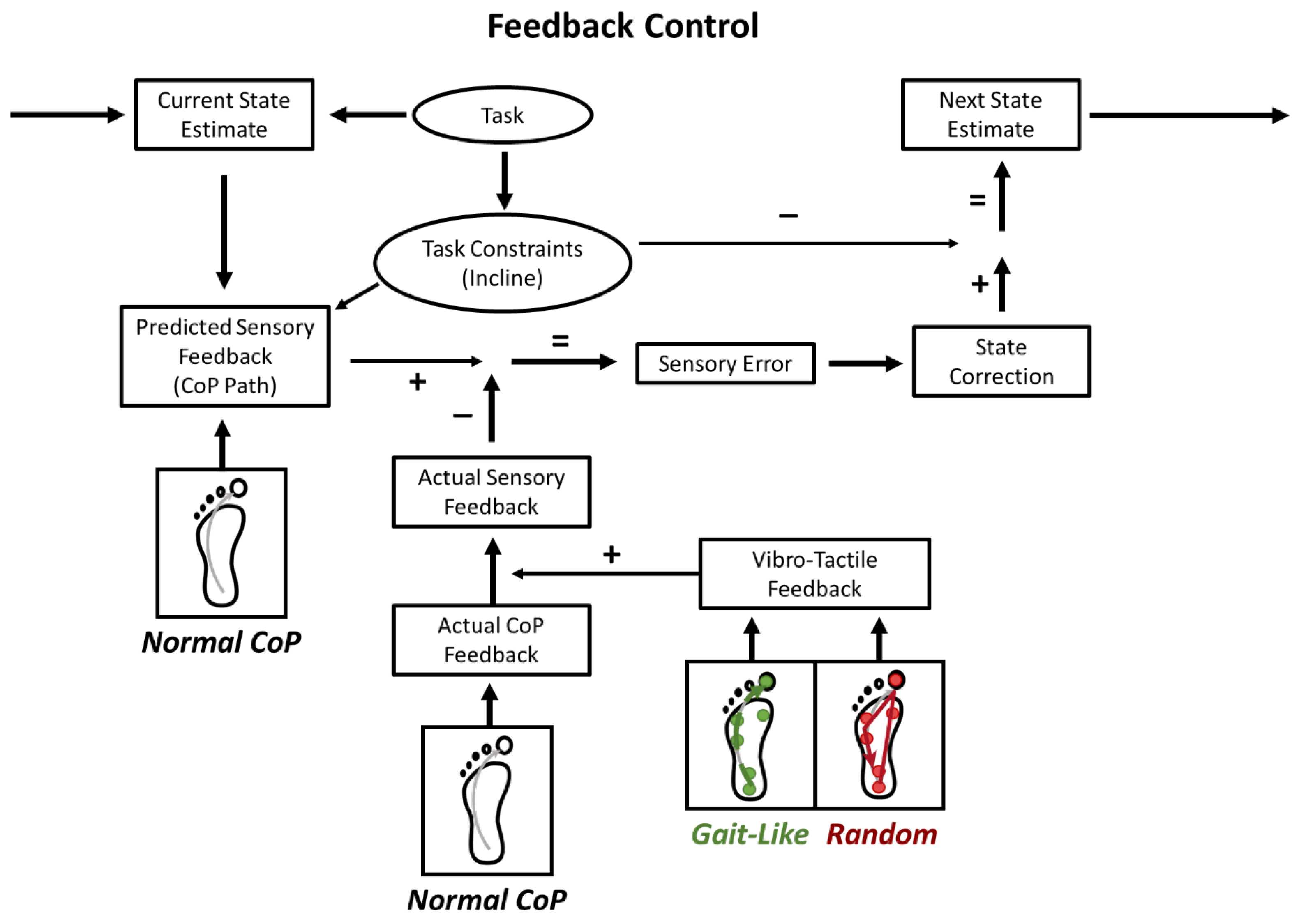 Brainsci 15 00138 g008