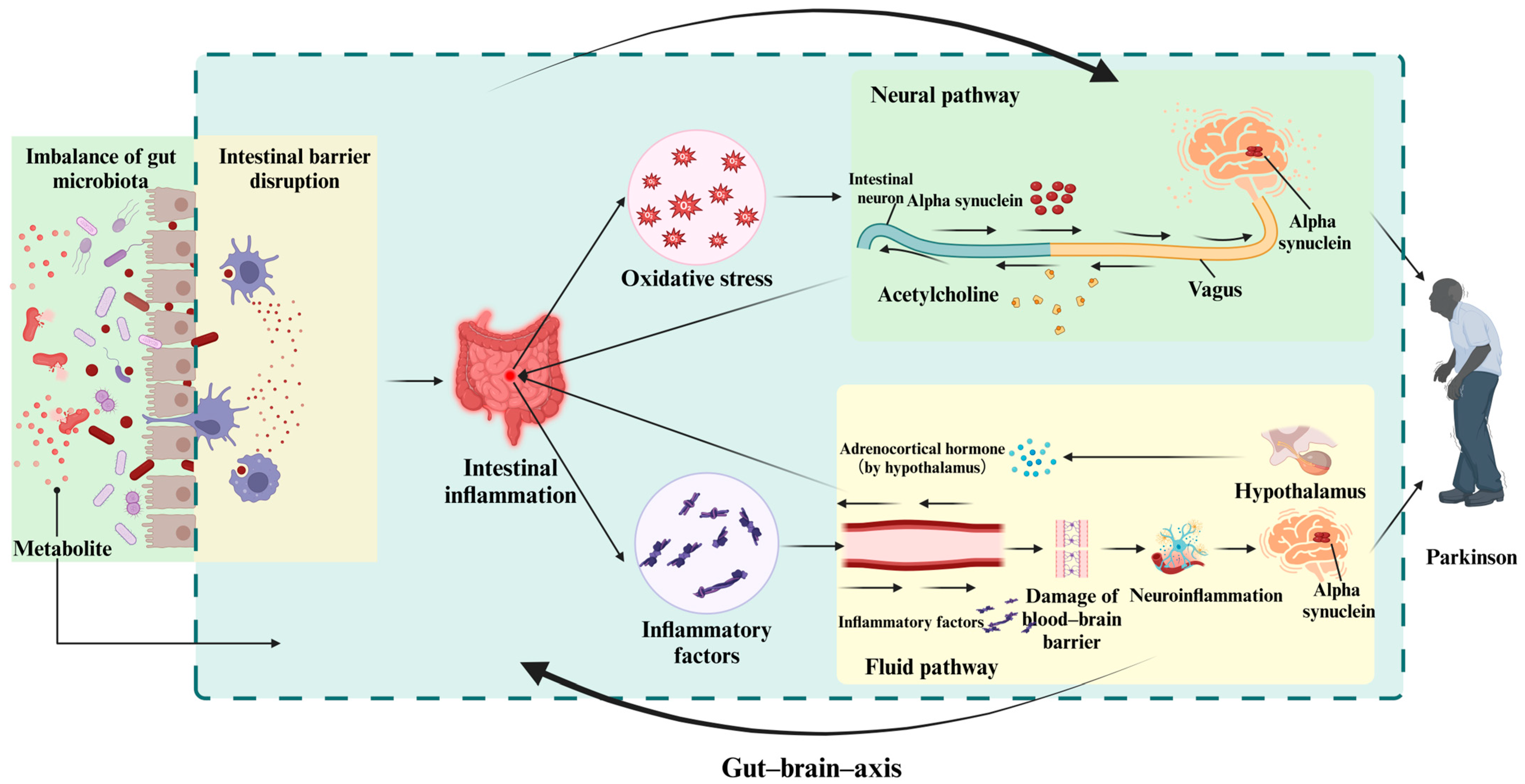 Brainsci 15 00159 g001