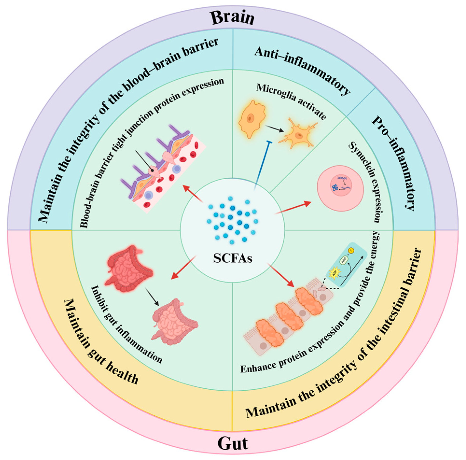 Brainsci 15 00159 g002