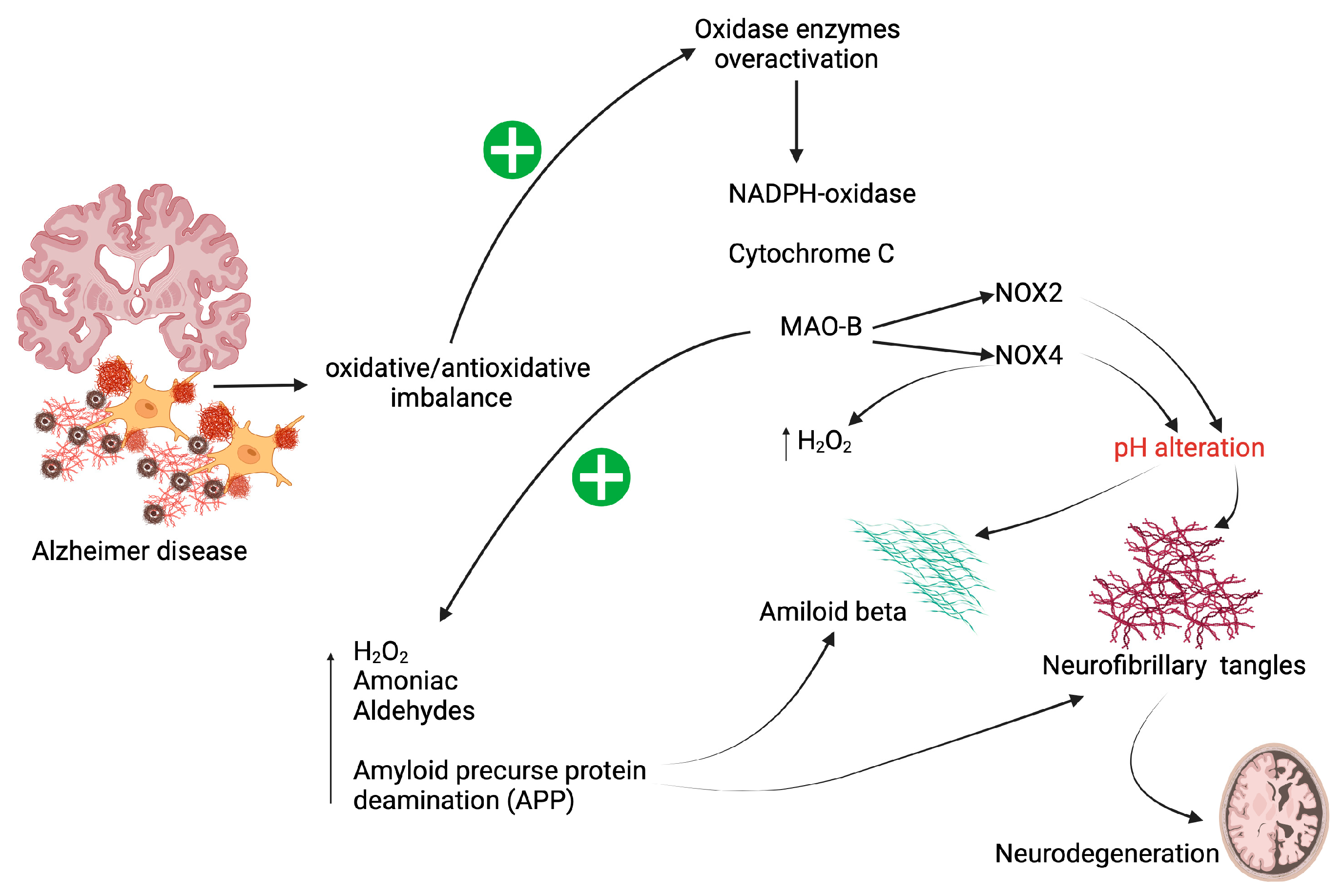 Brainsci 15 00164 g002