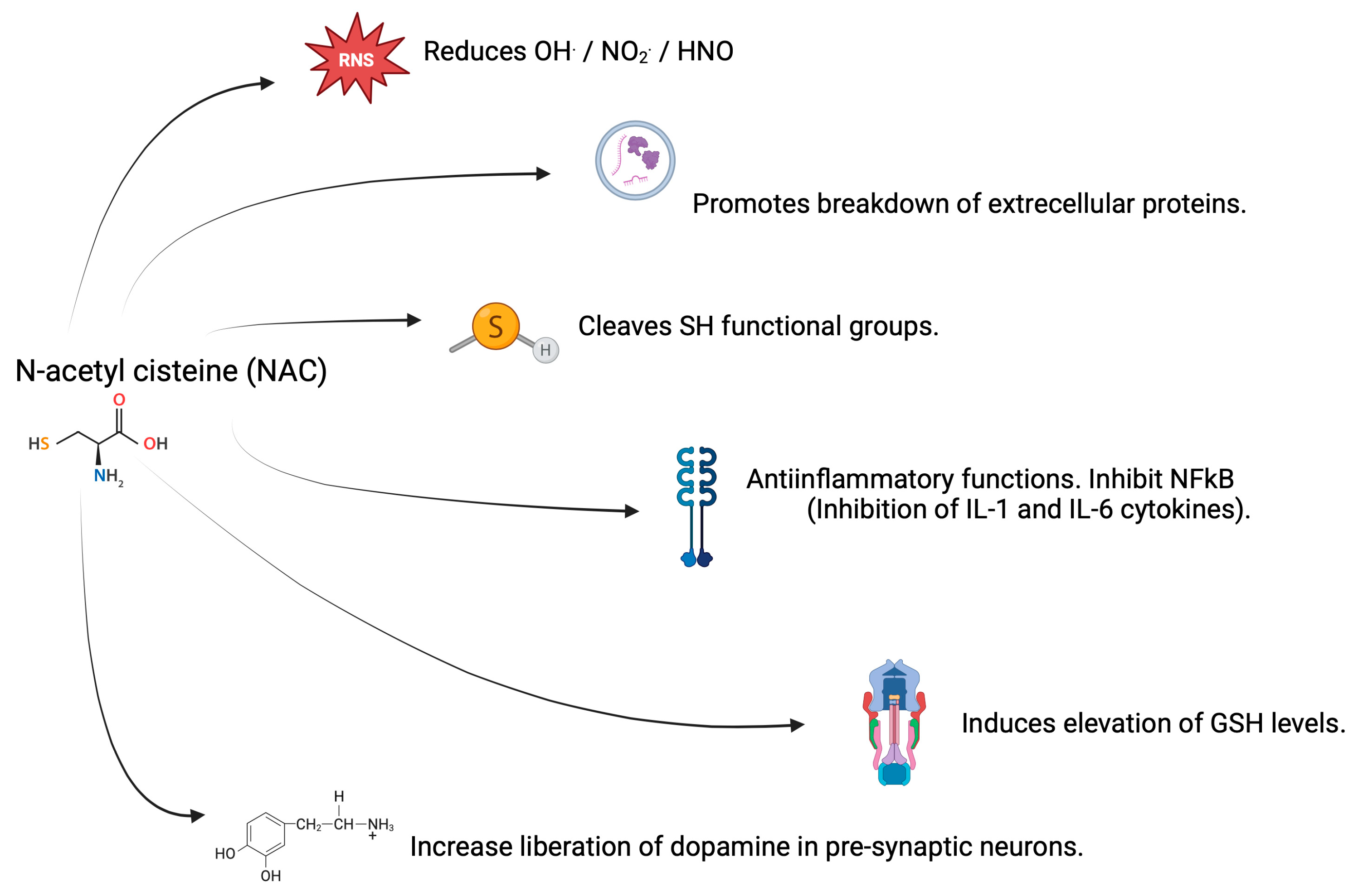 Brainsci 15 00164 g004