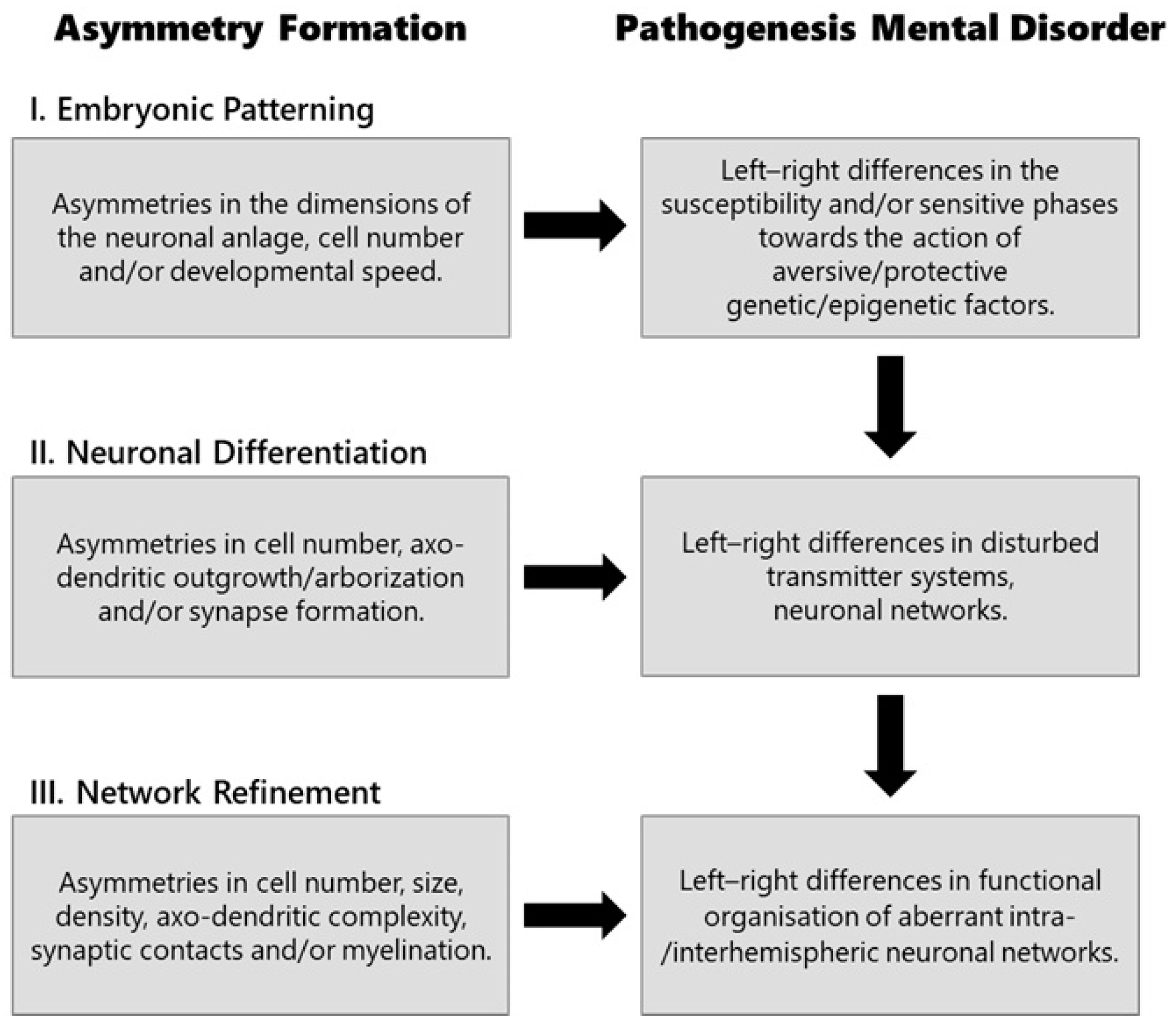 Brainsci 15 00169 g001 Brainsci 15 00169 g001