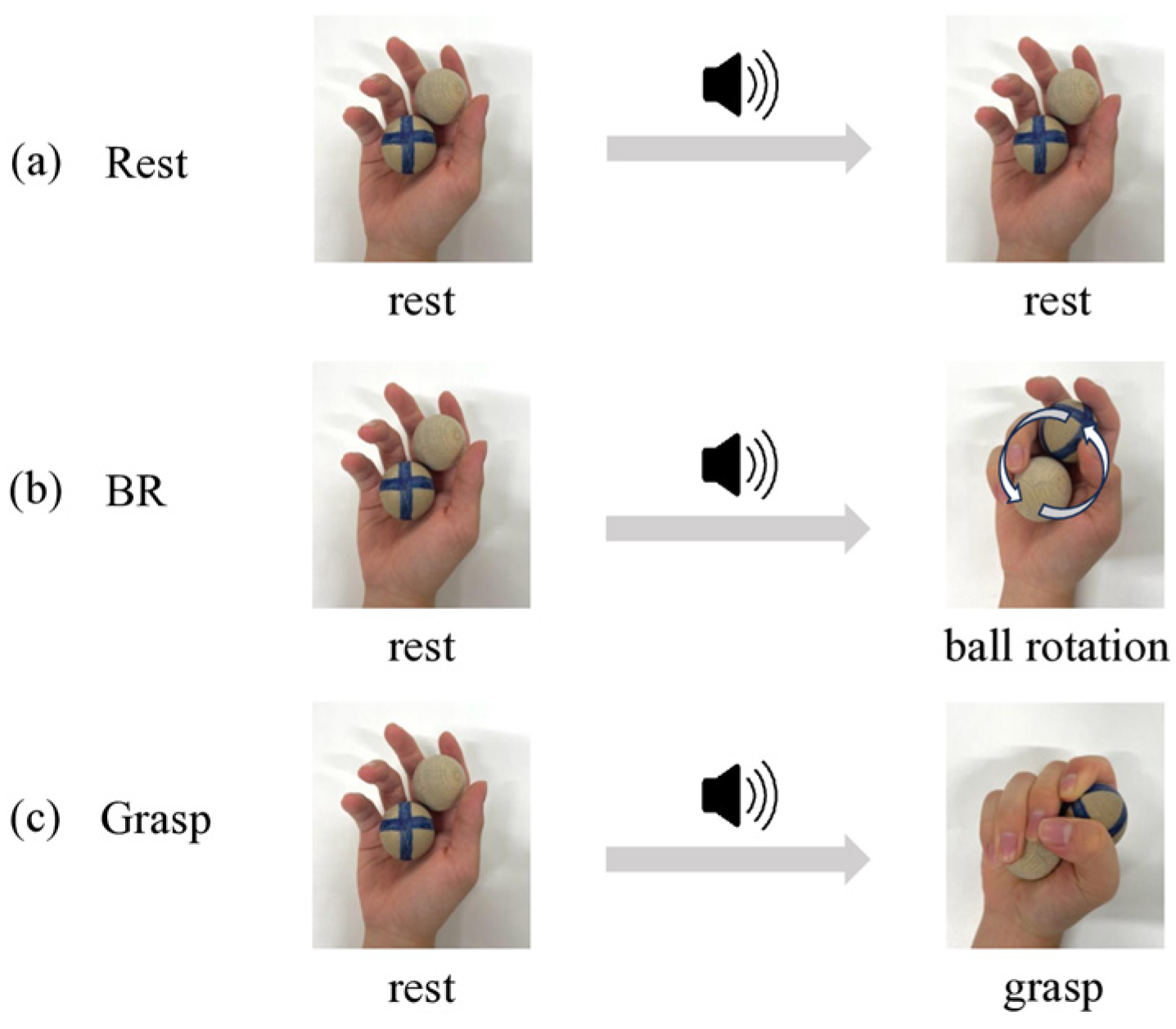Brainsci 15 00171 g001