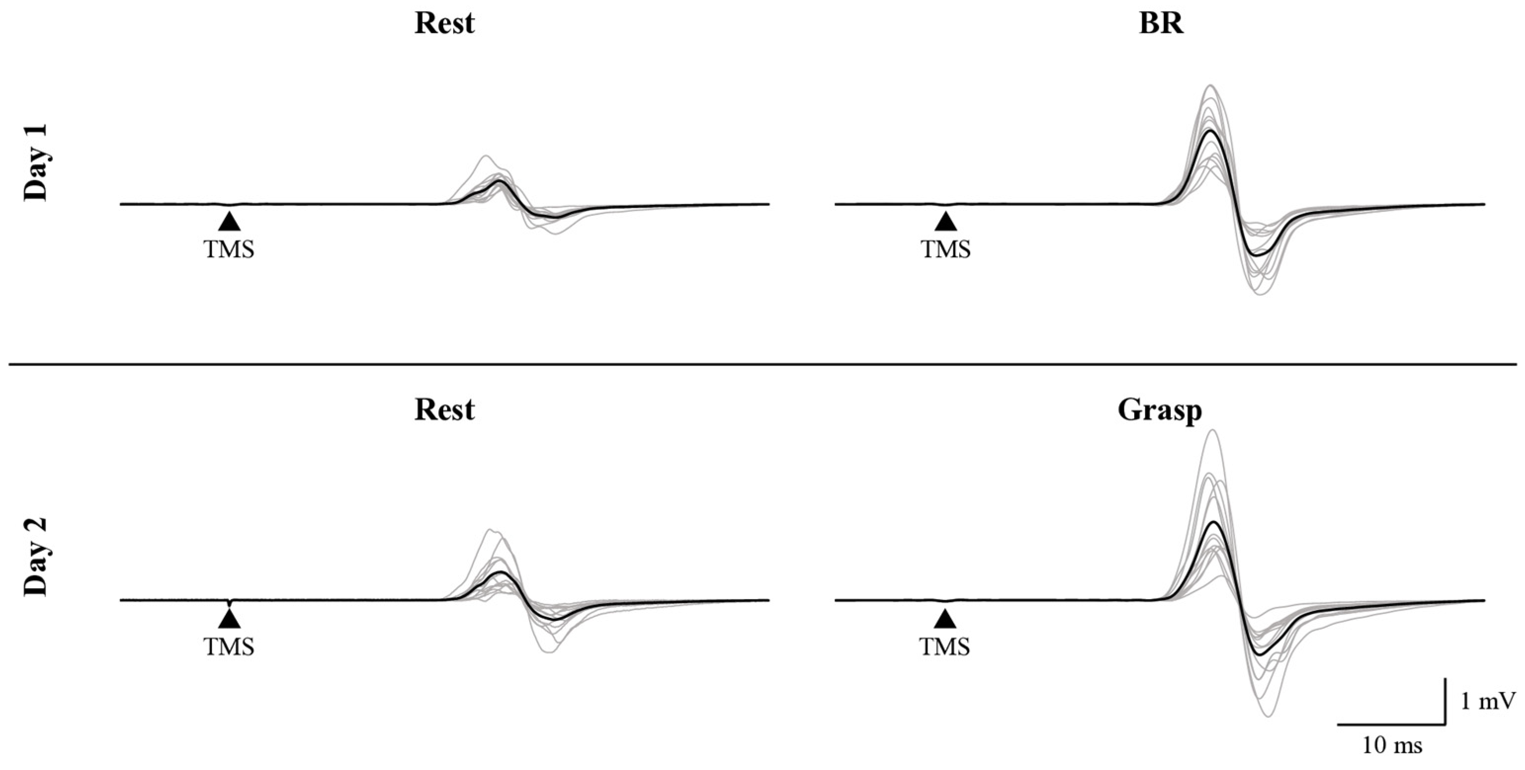 Brainsci 15 00171 g004