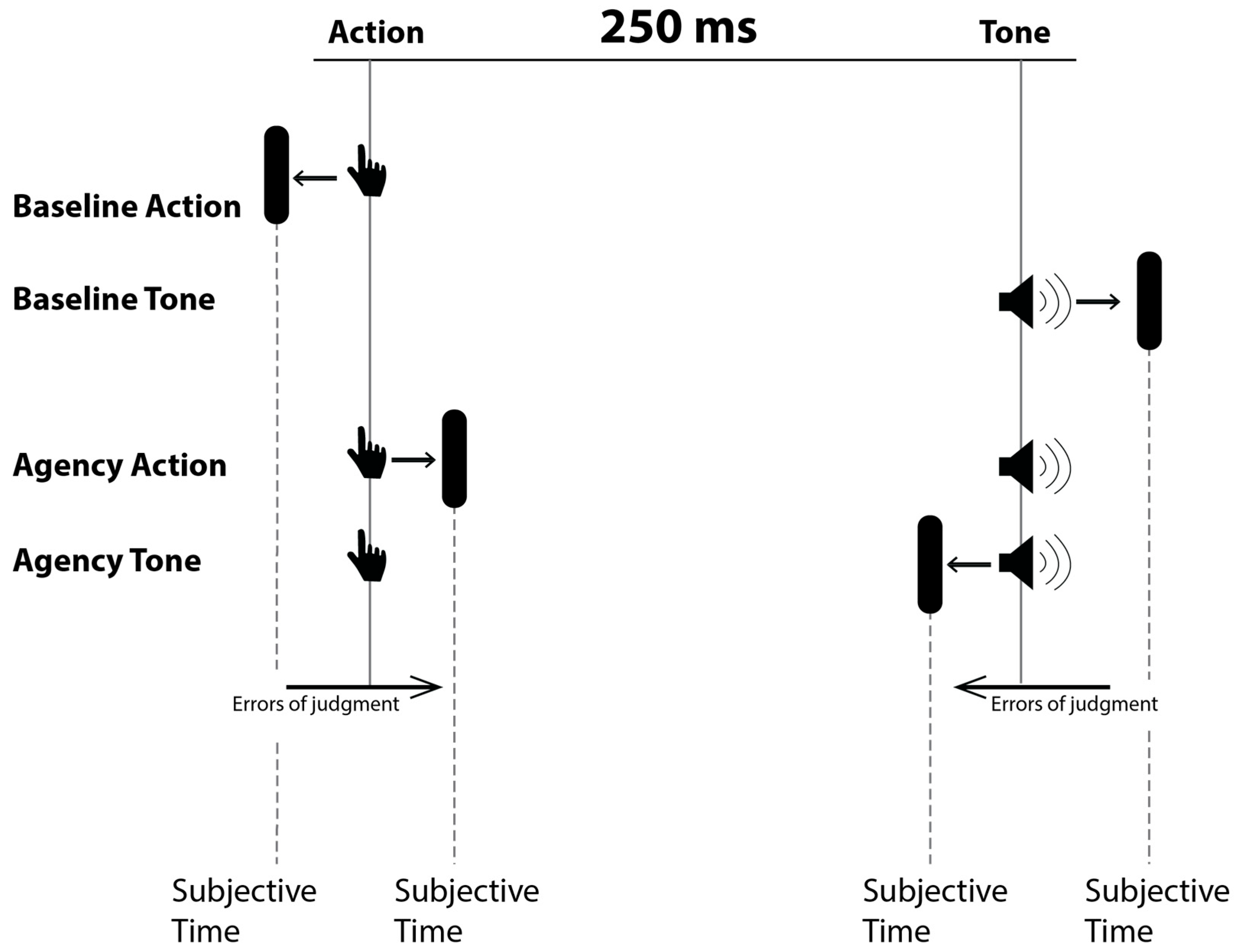 Brainsci 15 00176 g001 Brainsci 15 00176 g001