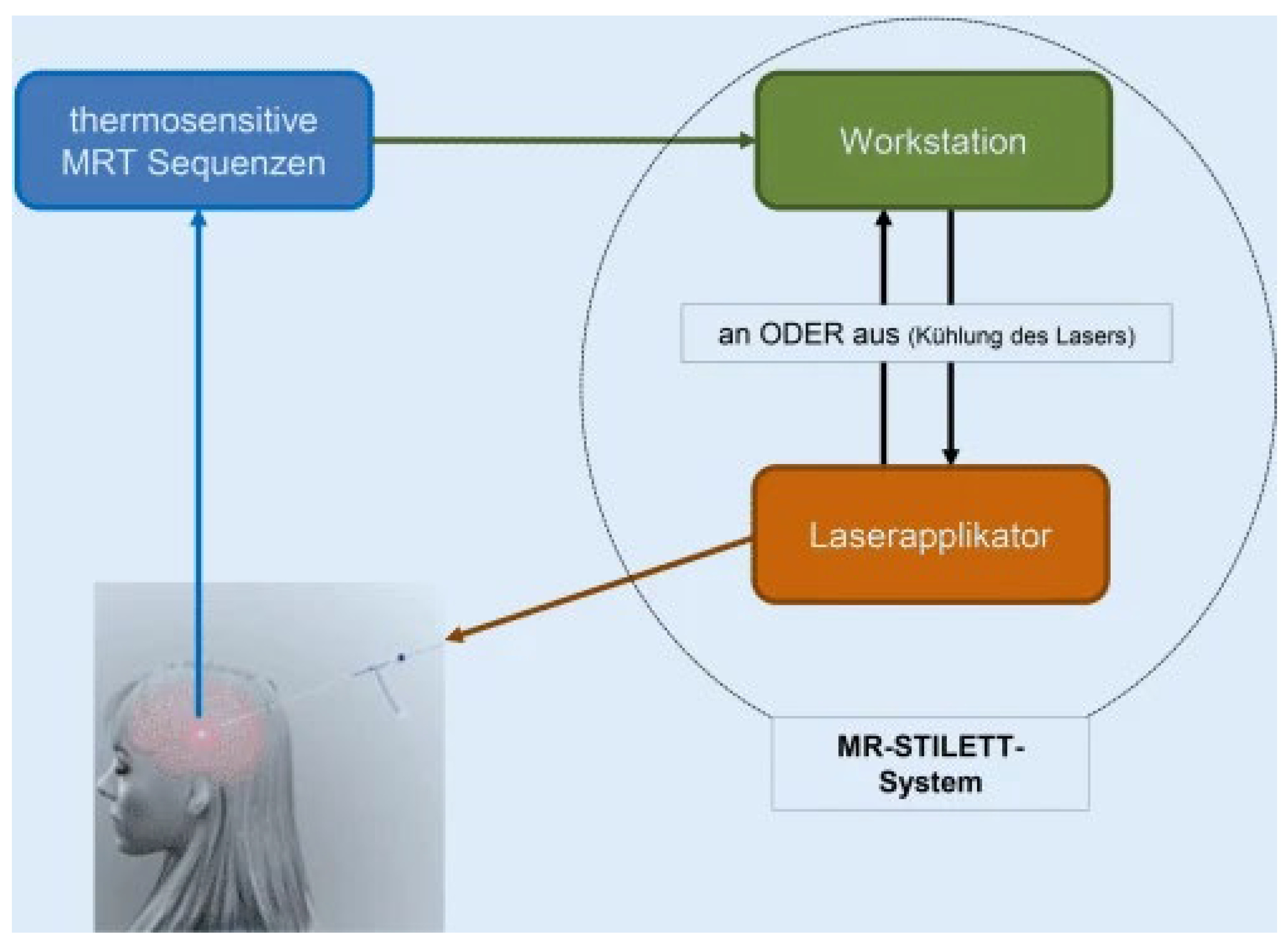 Brainsci 15 00181 g001 Brainsci 15 00181 g001