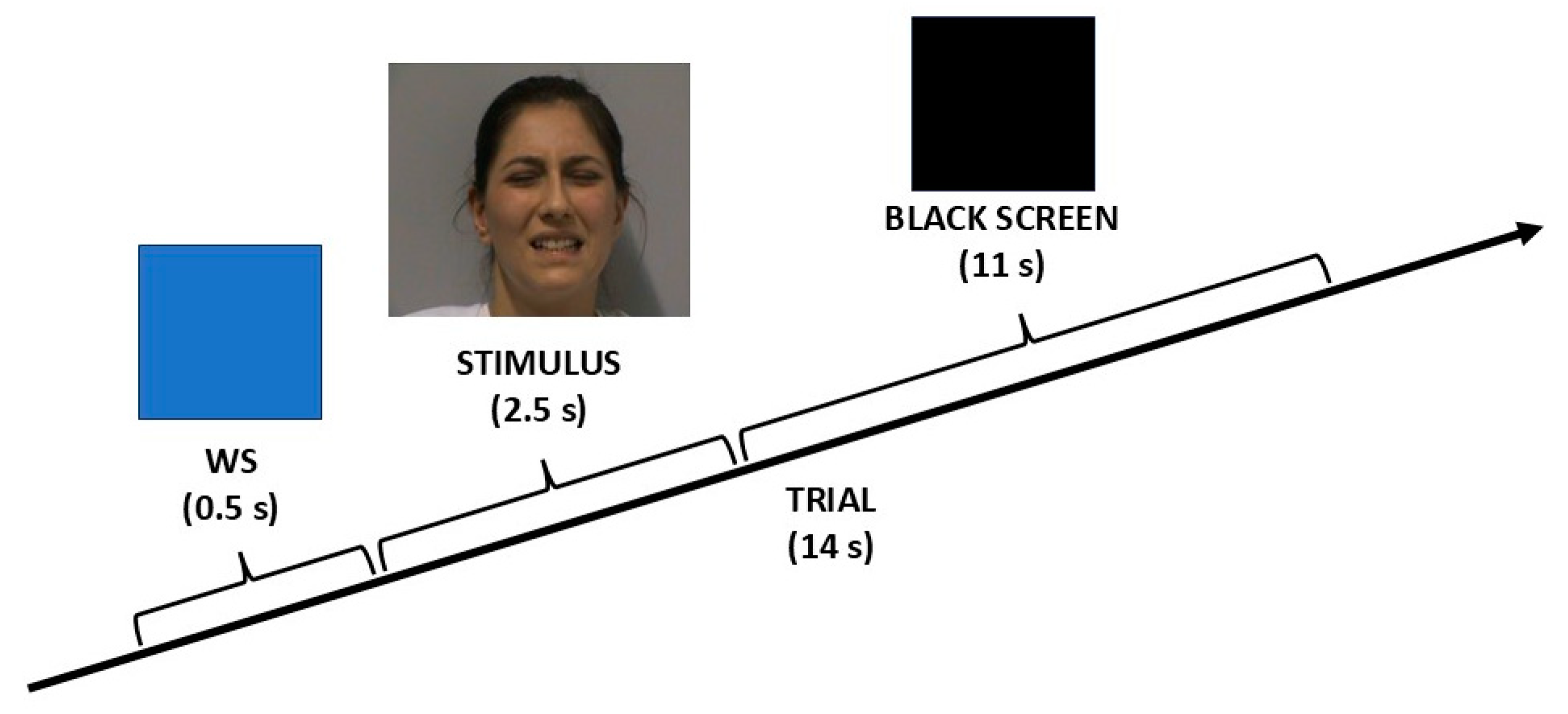 Brainsci 15 00185 g001