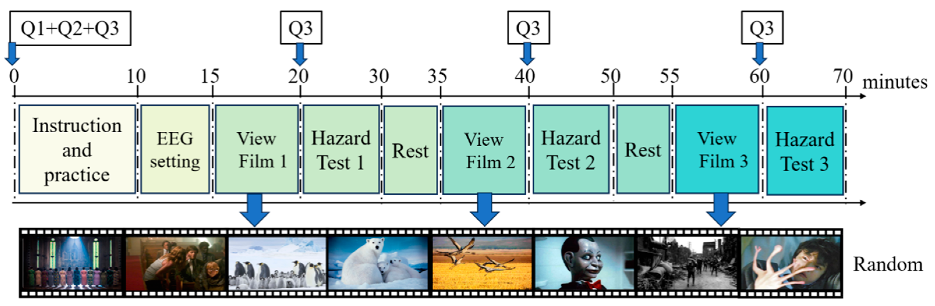 Brainsci 15 00190 g002