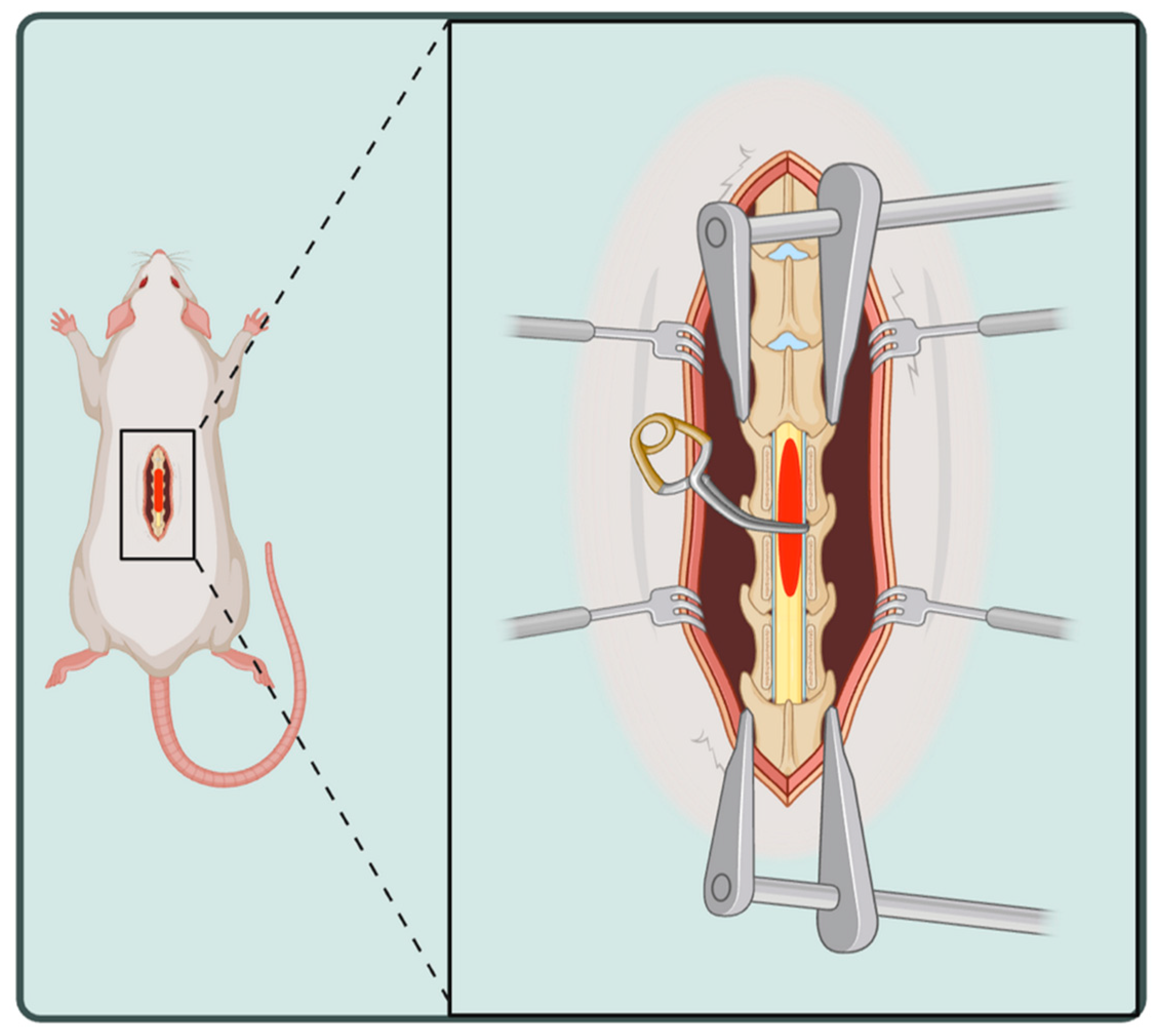 Brainsci 15 00191 g001