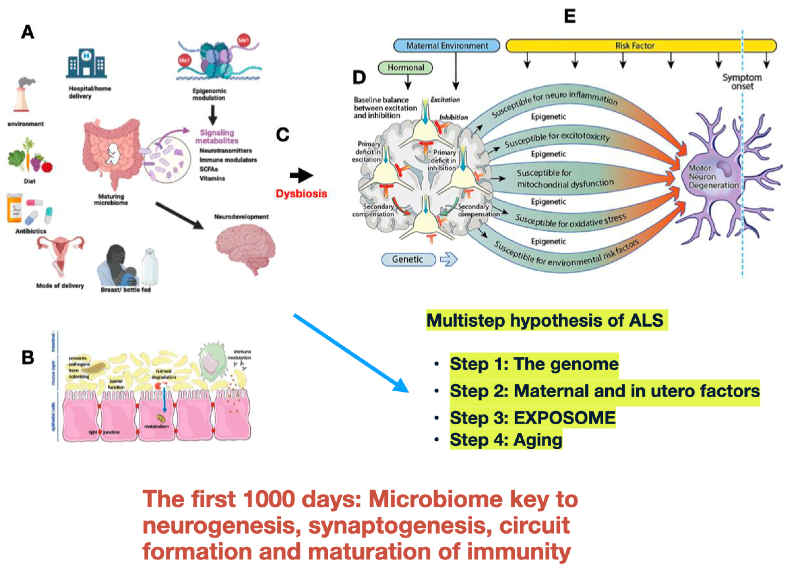 Brainsci 15 00195 g001