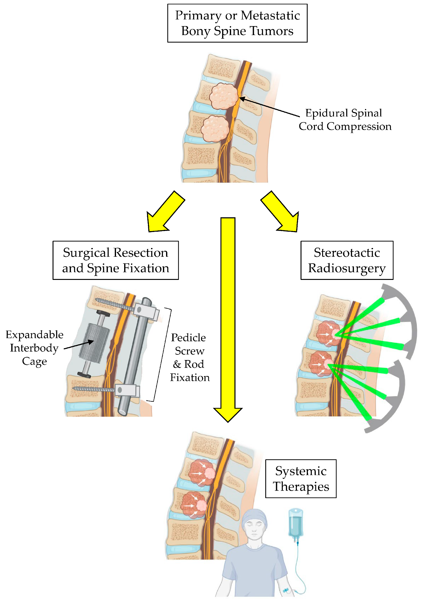 Brainsci 15 00199 g001 Brainsci 15 00199 g001