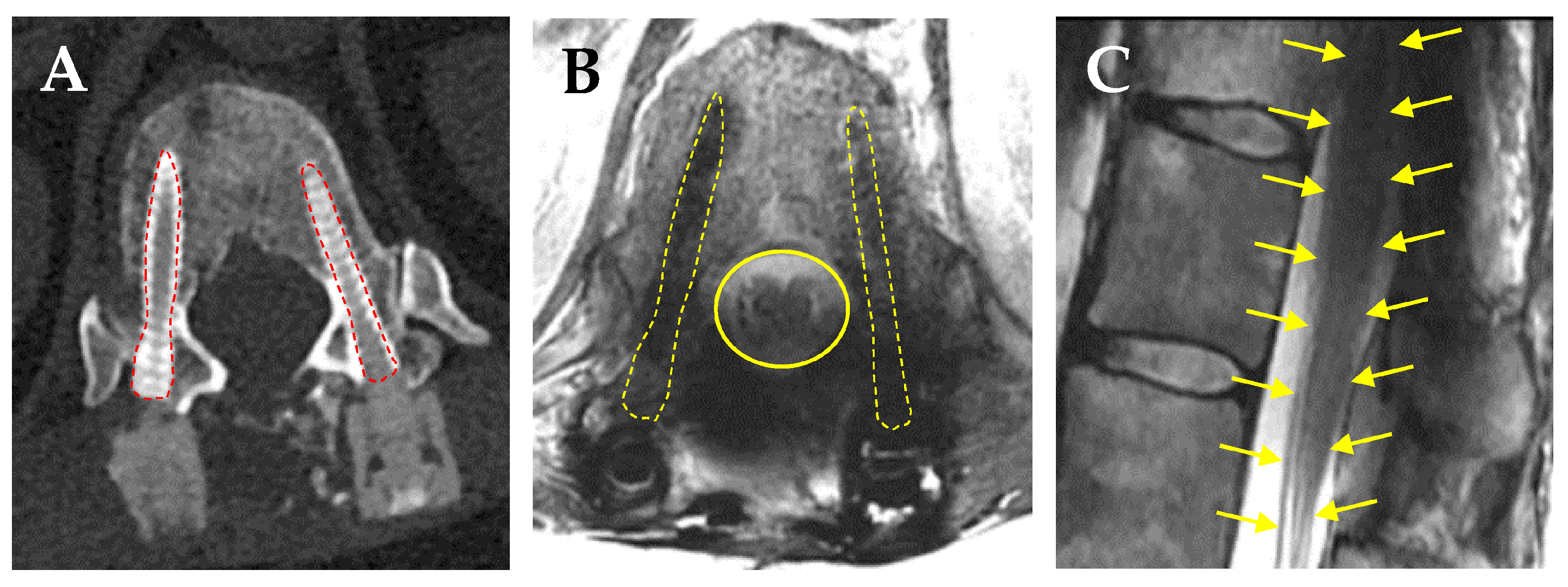 Brainsci 15 00199 g003 Brainsci 15 00199 g003