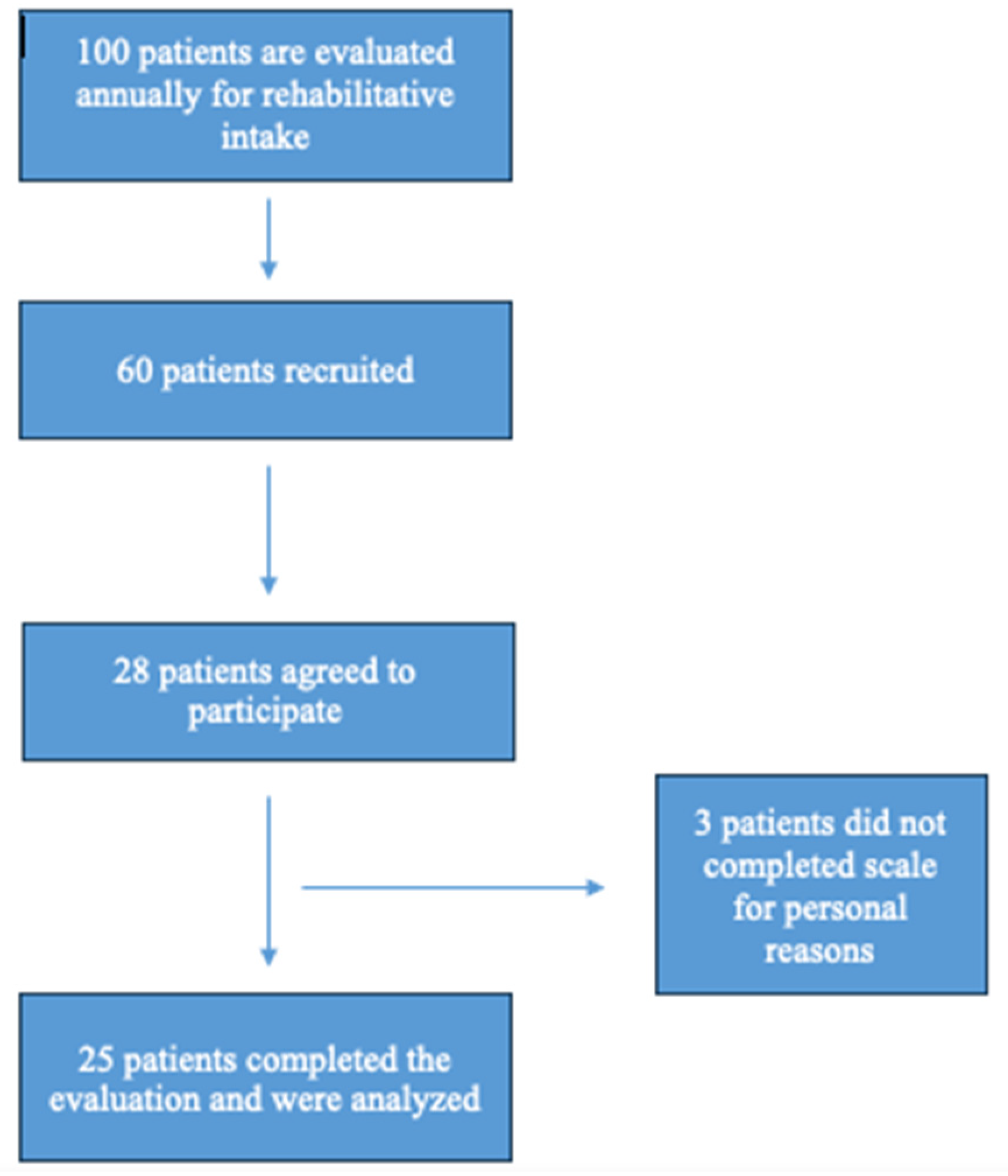 Brainsci 15 00202 g001