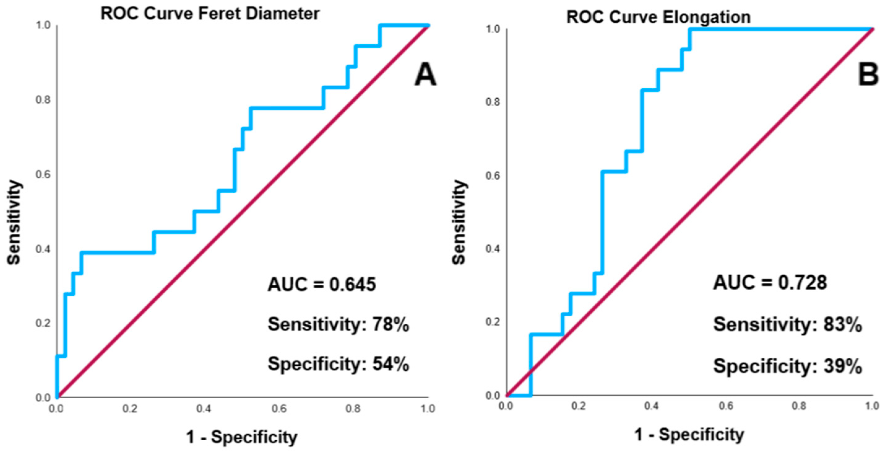Brainsci 15 00204 g002