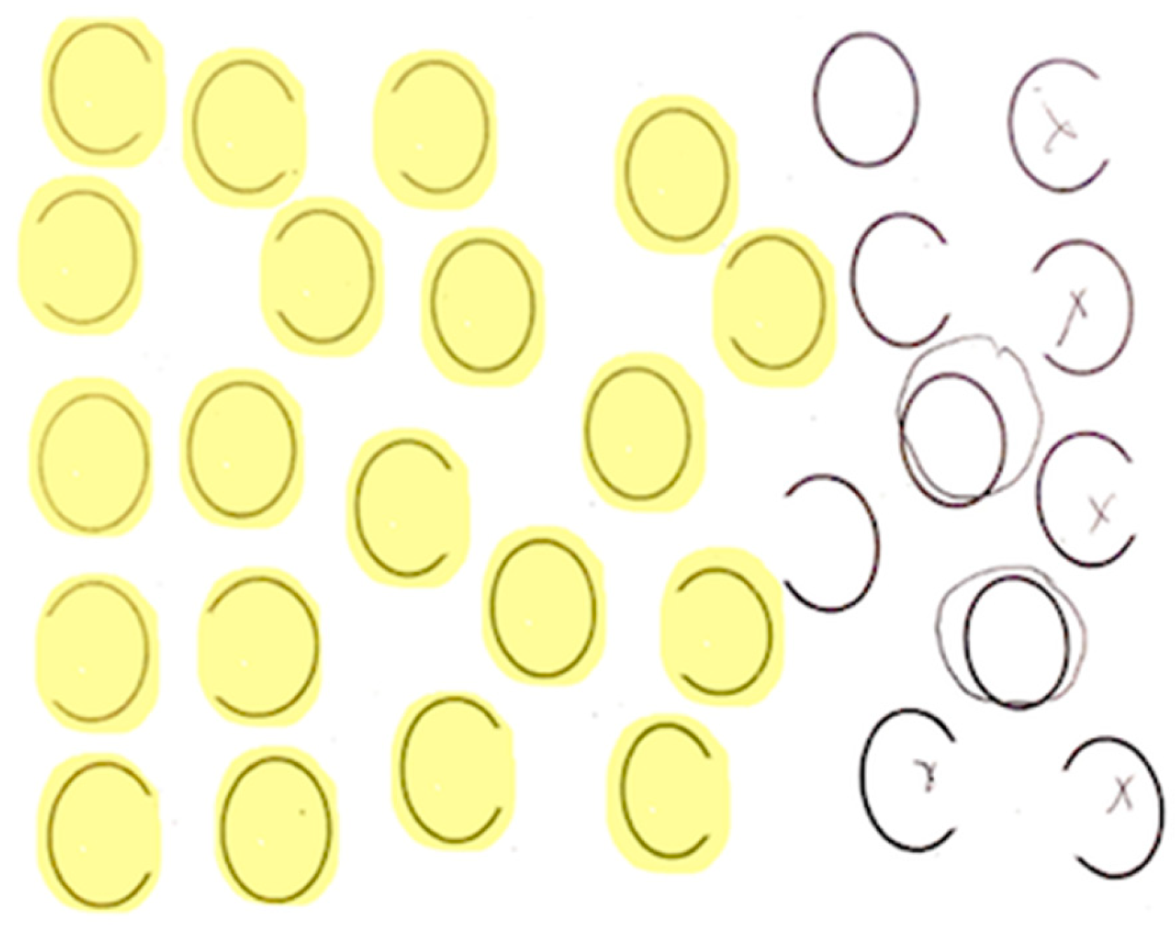 Brainsci 15 00208 g002