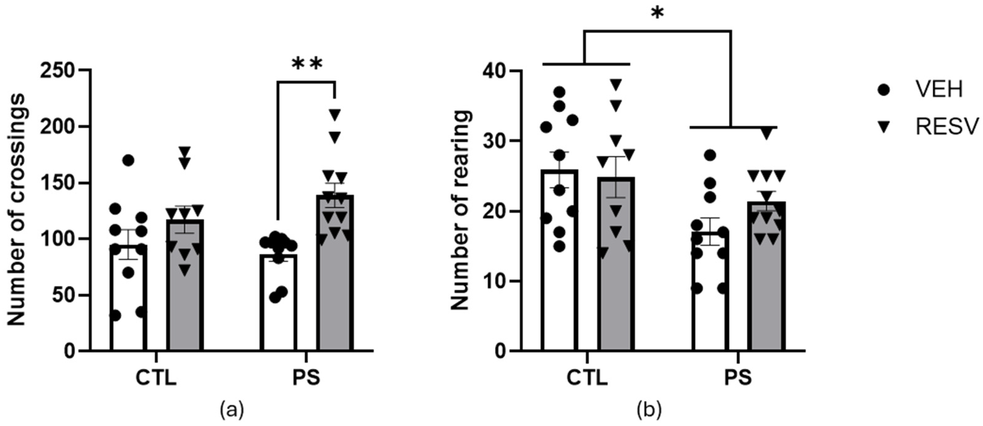 Brainsci 15 00210 g002