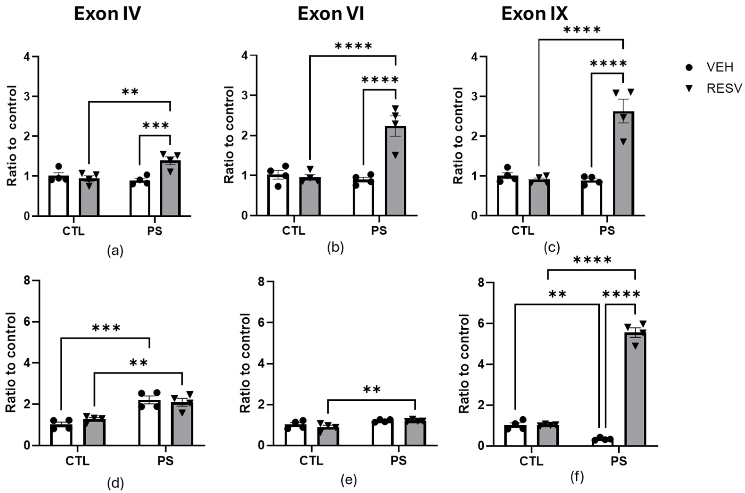 Brainsci 15 00210 g005