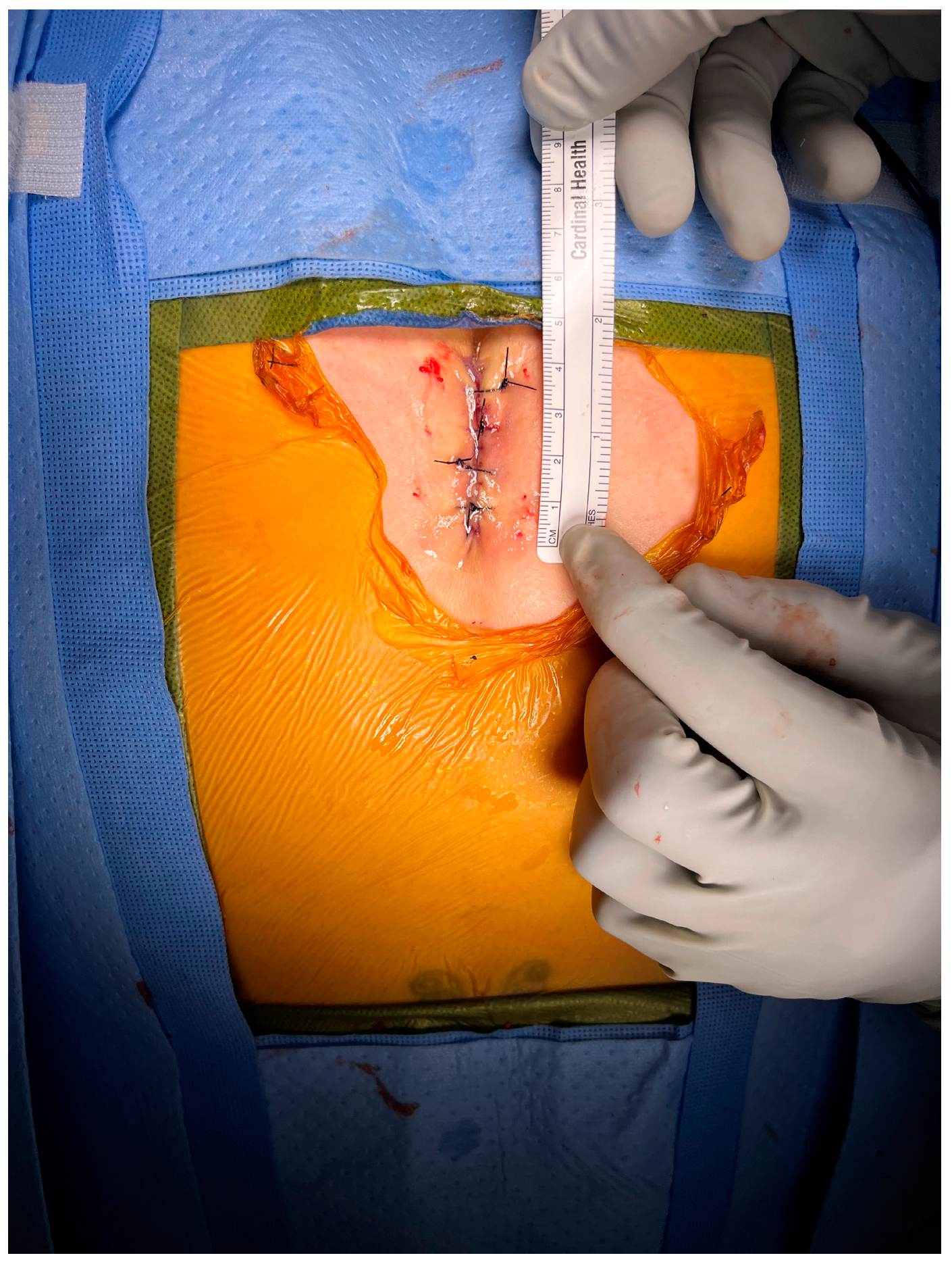 Brainsci 15 00213 g001