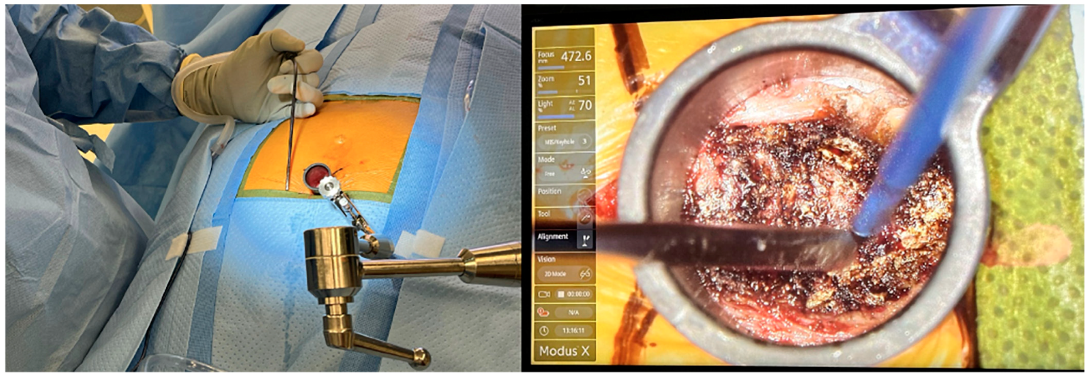 Brainsci 15 00213 g002