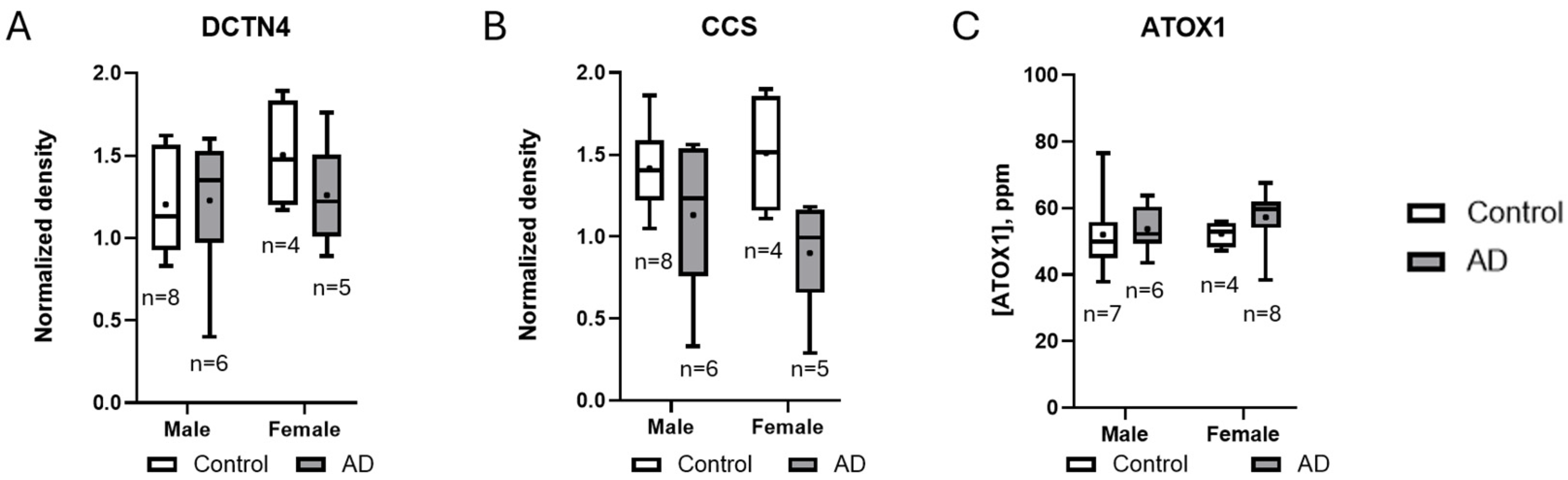 Brainsci 15 00216 g004
