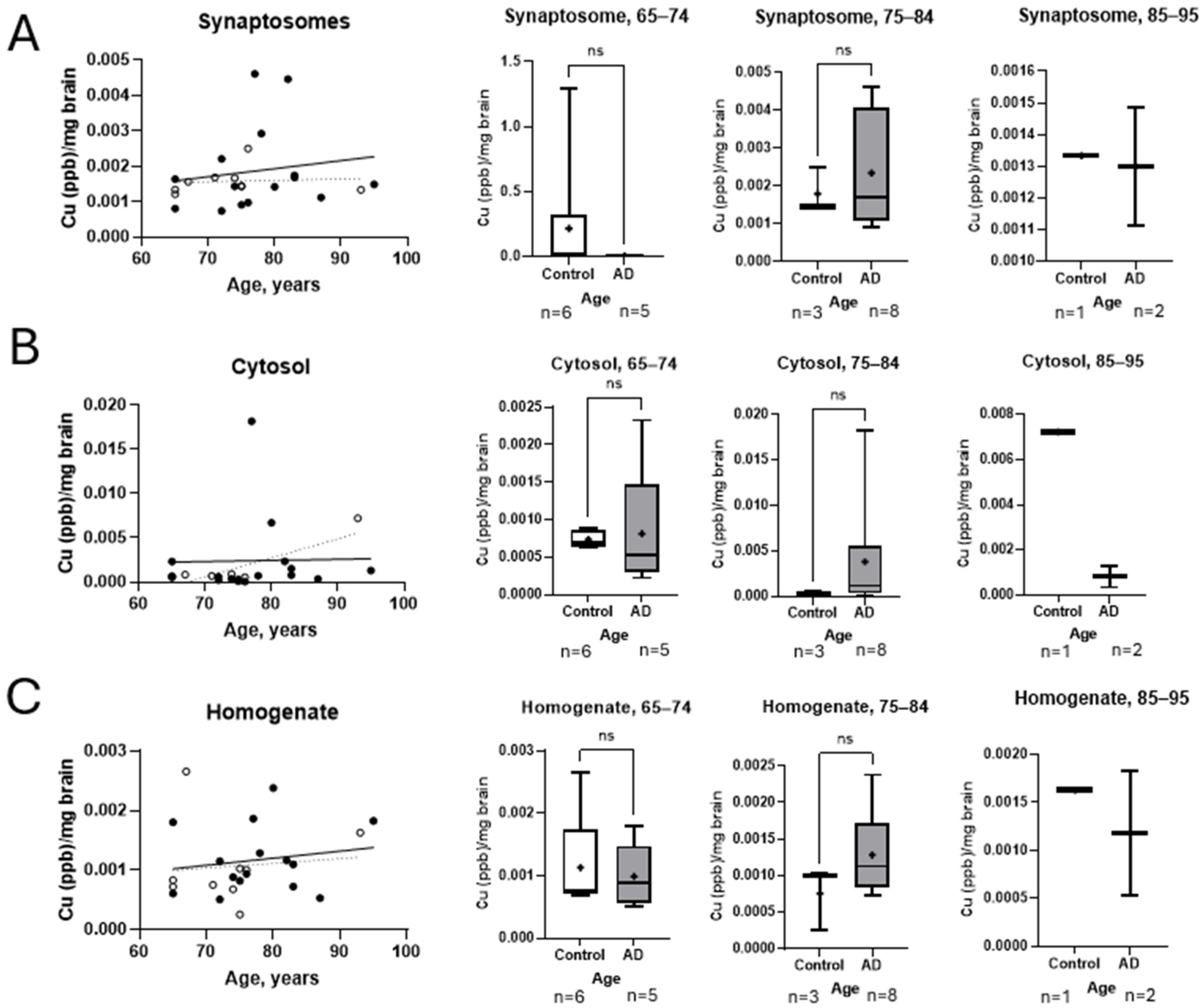 Brainsci 15 00216 g006