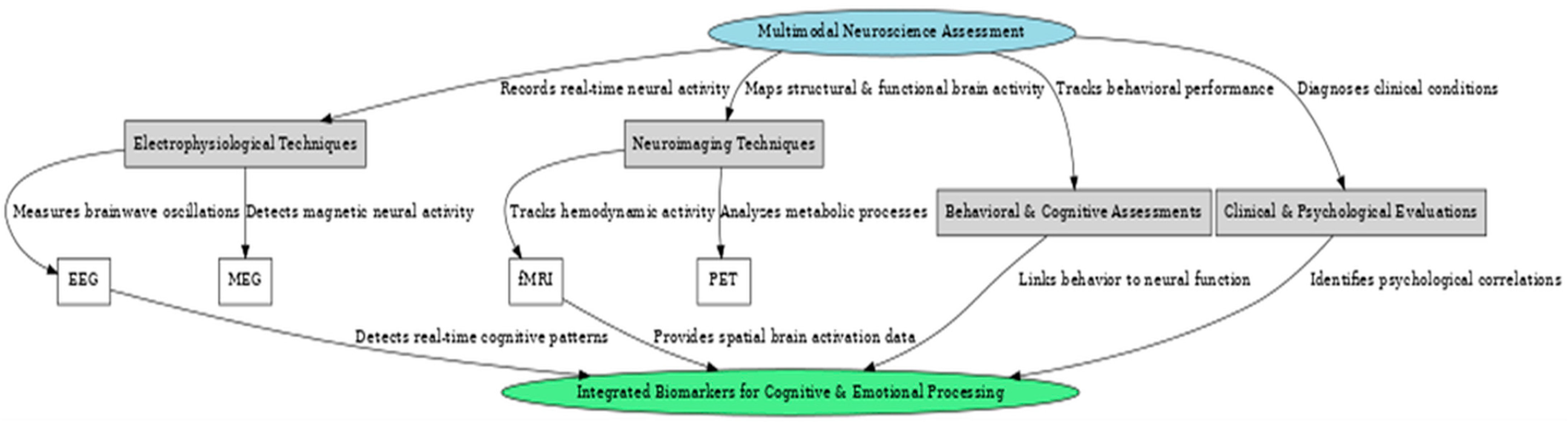 Brainsci 15 00220 g012