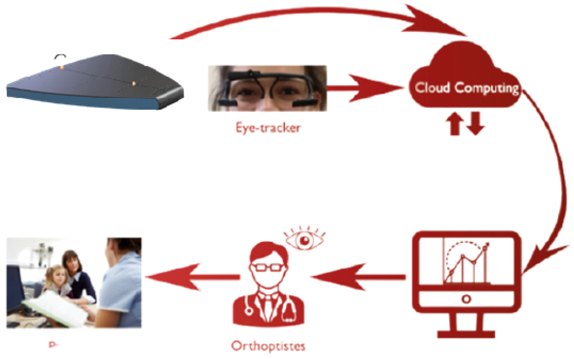 Brainsci 15 00230 g0a2