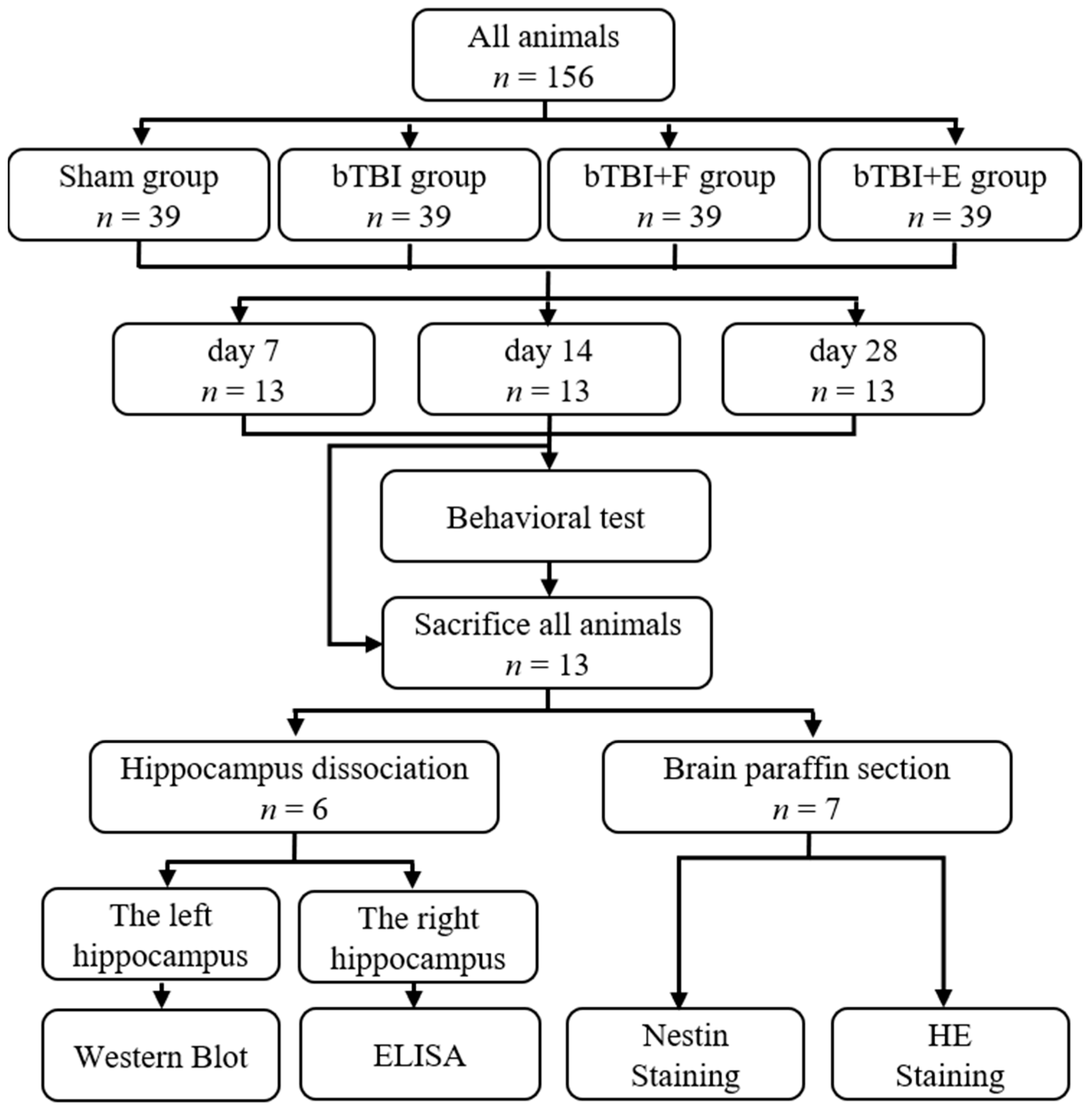Brainsci 15 00236 g001
