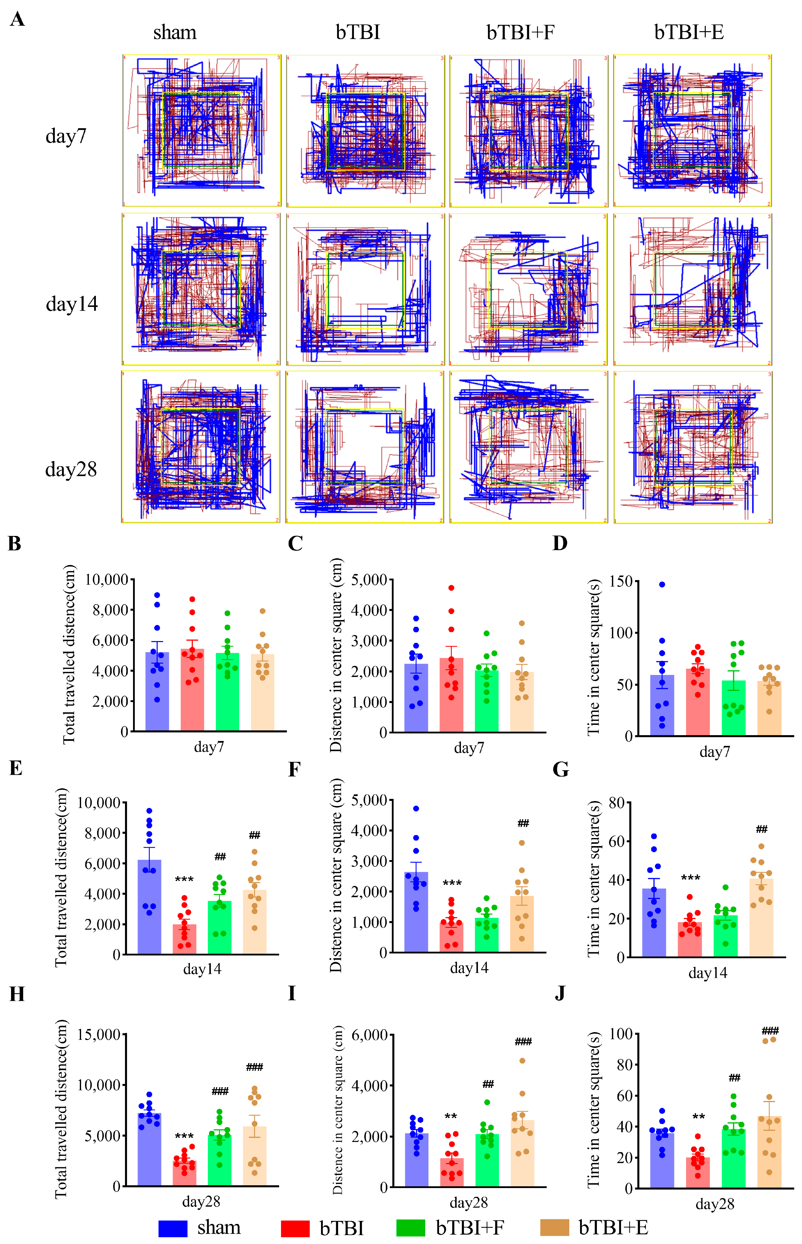 Brainsci 15 00236 g003