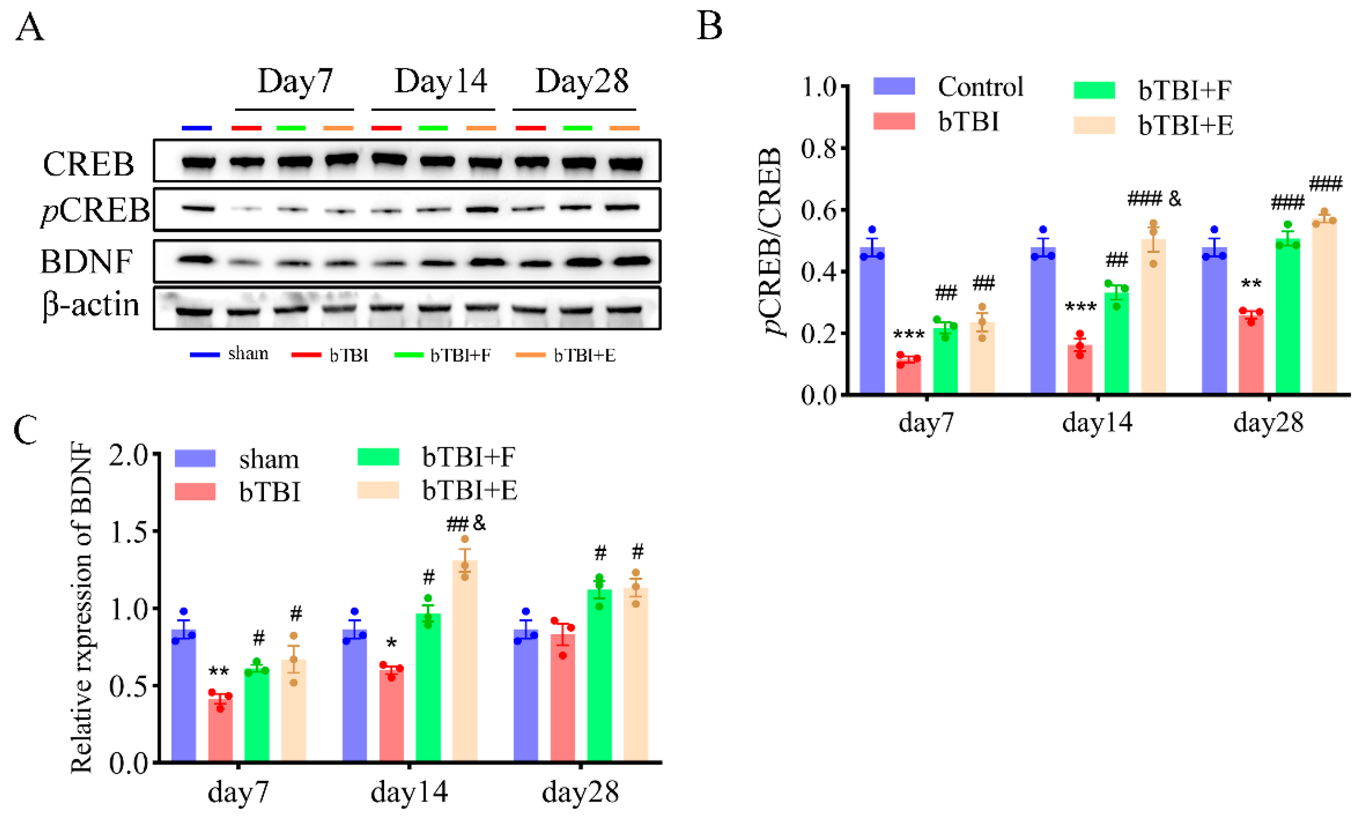 Brainsci 15 00236 g007