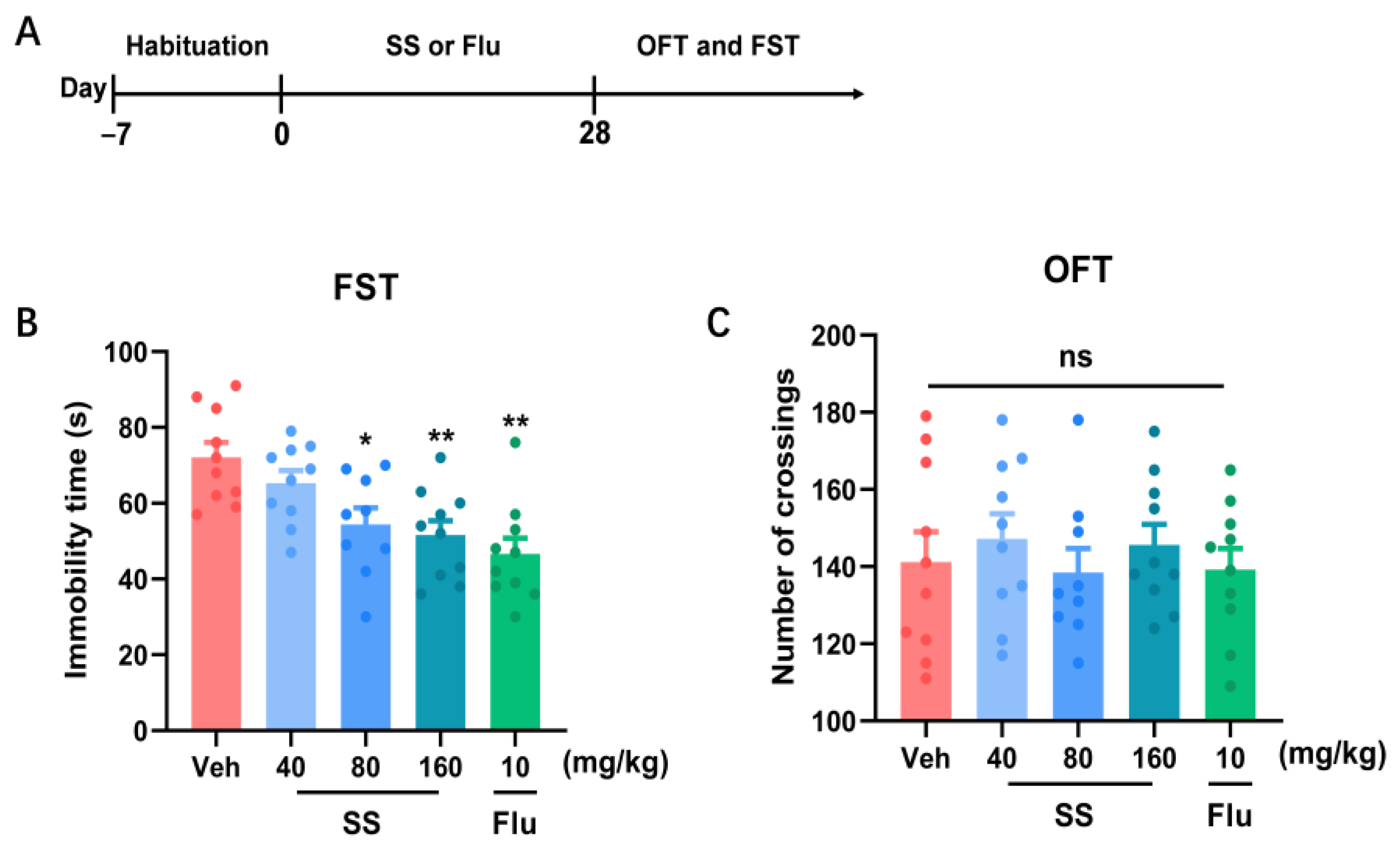 Brainsci 15 00238 g001