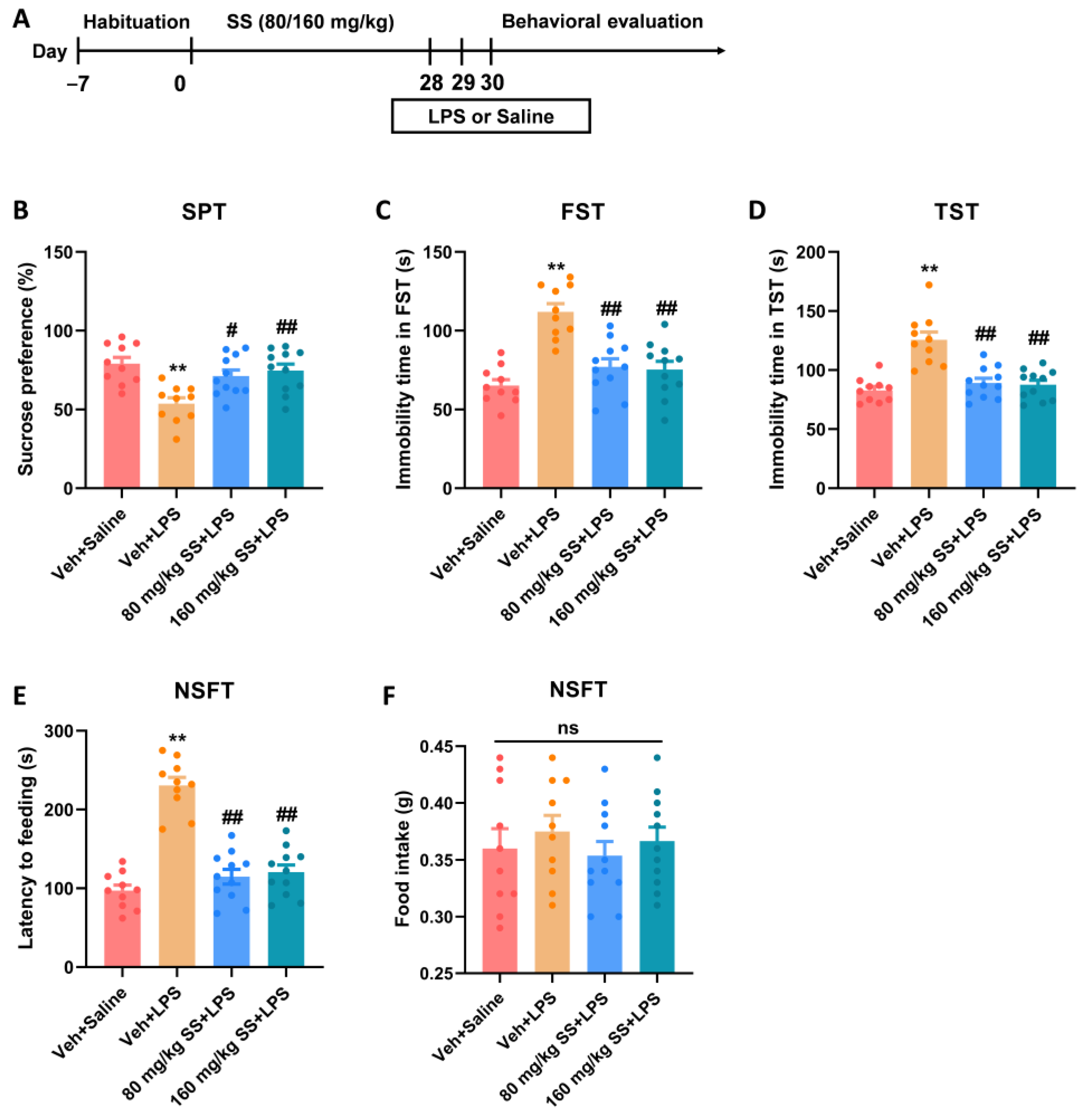 Brainsci 15 00238 g002
