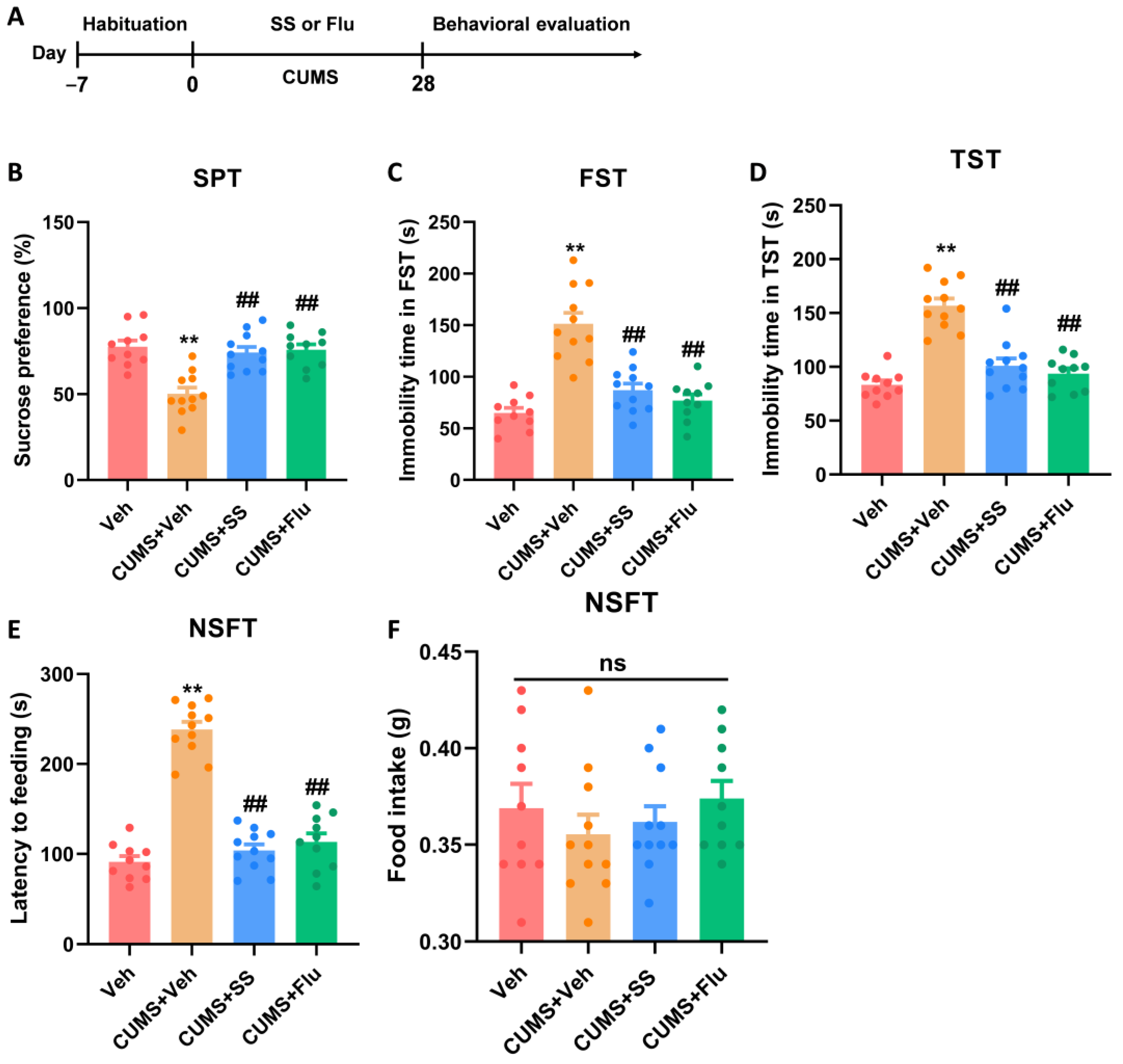 Brainsci 15 00238 g003