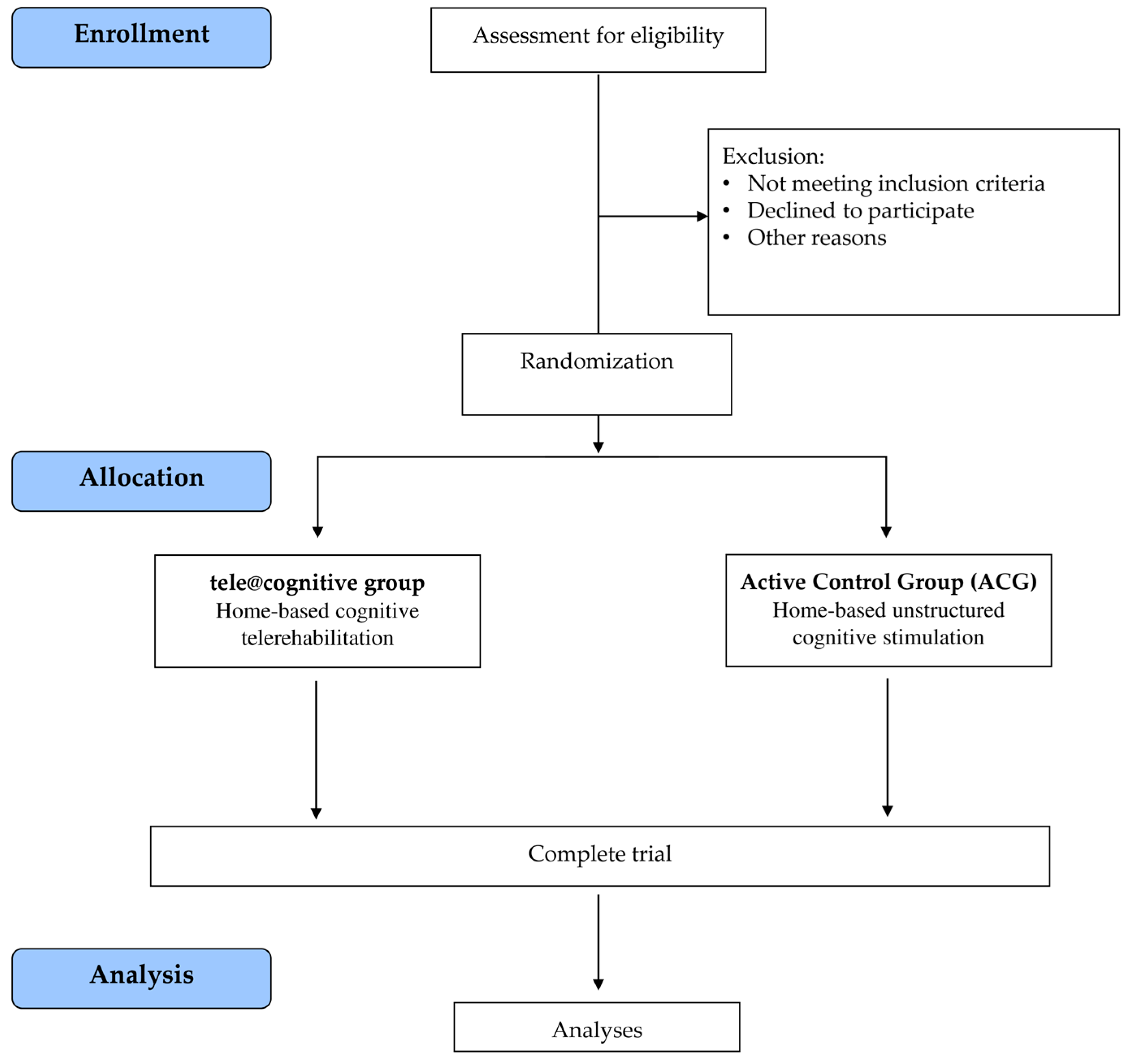 Brainsci 15 00239 g002