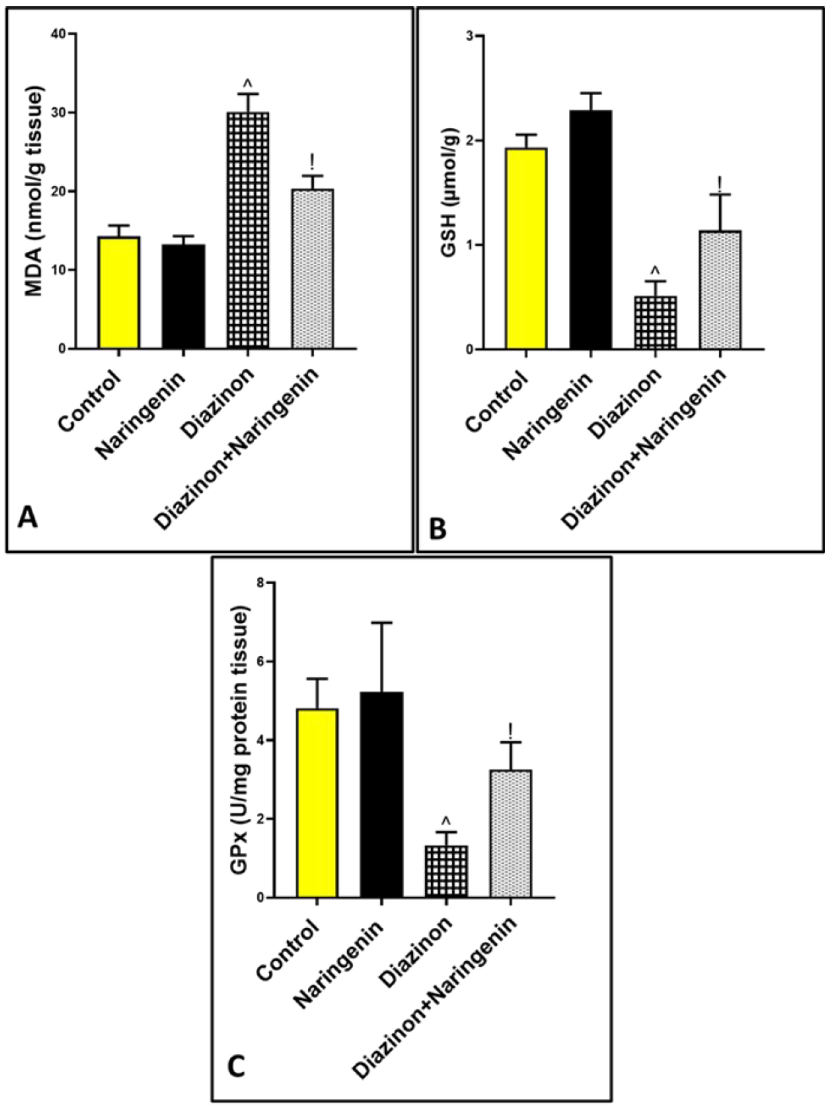 Brainsci 15 00242 g002 Brainsci 15 00242 g002
