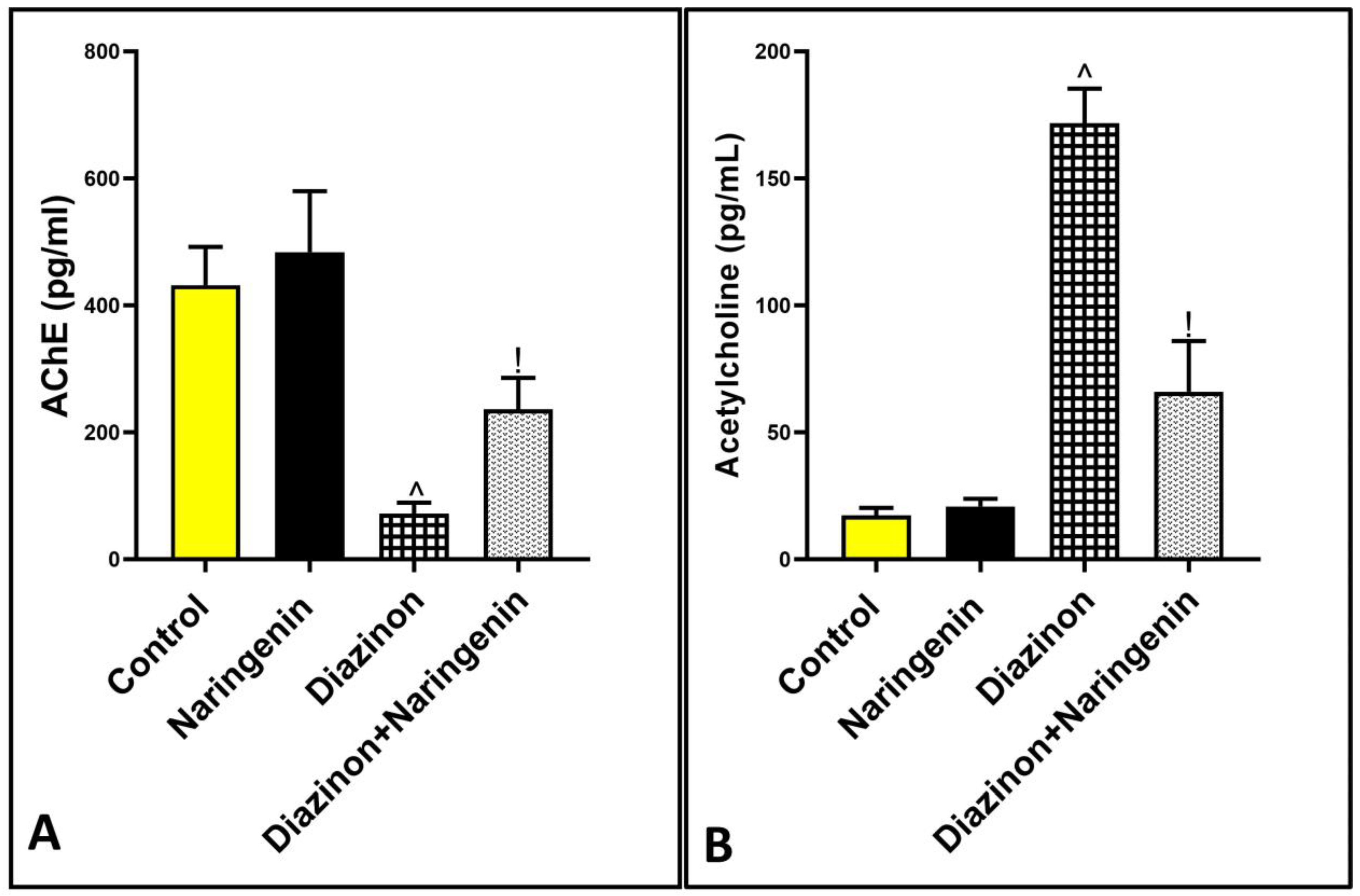 Brainsci 15 00242 g005 Brainsci 15 00242 g005