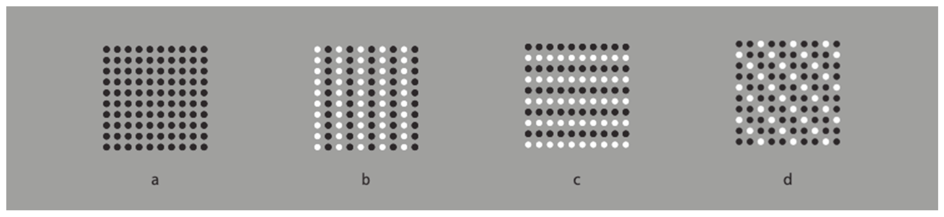 Brainsci 15 00243 g001