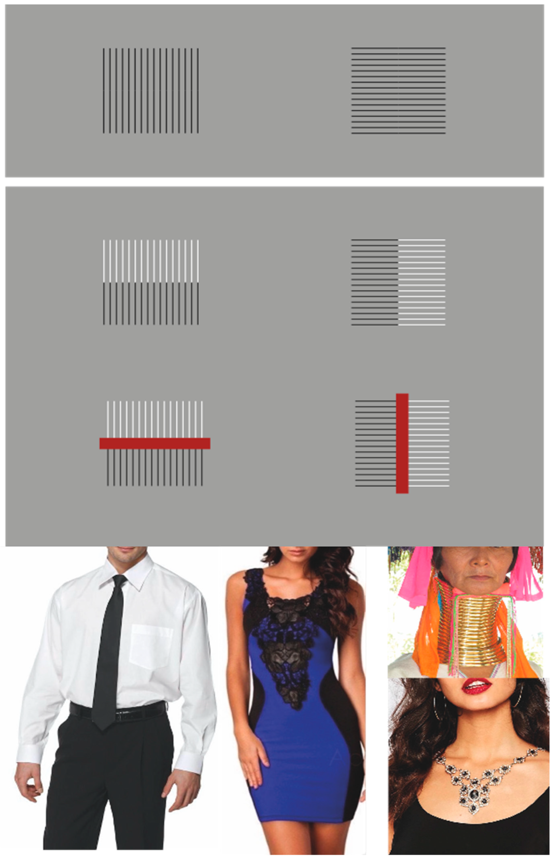 Brainsci 15 00243 g003