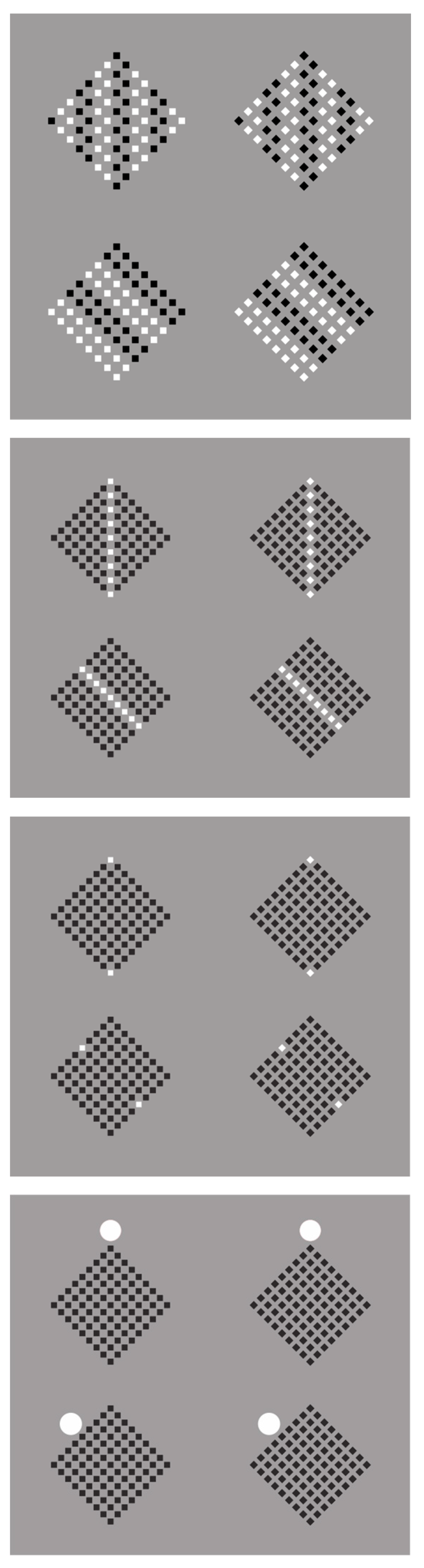 Brainsci 15 00243 g008