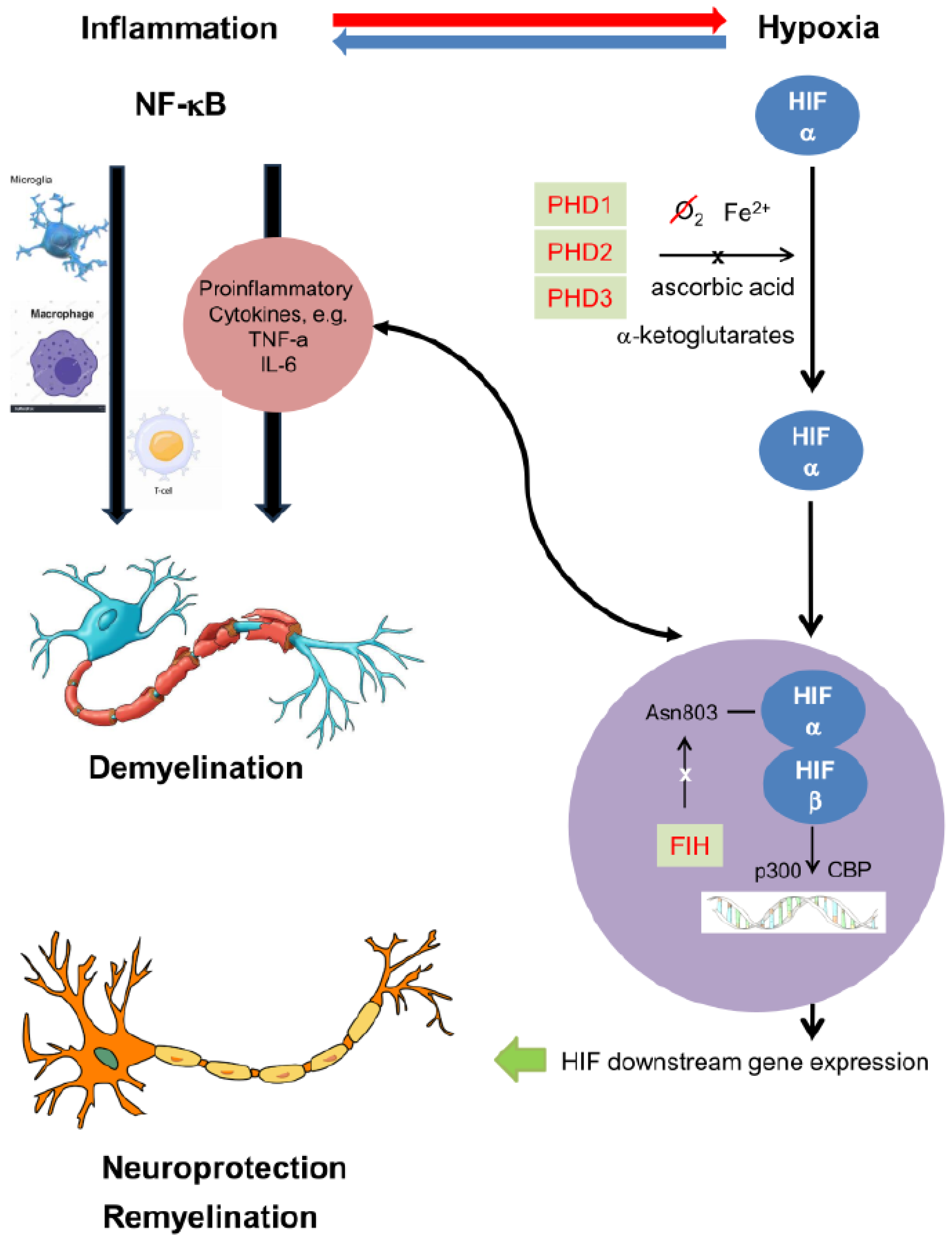 Brainsci 15 00248 g001