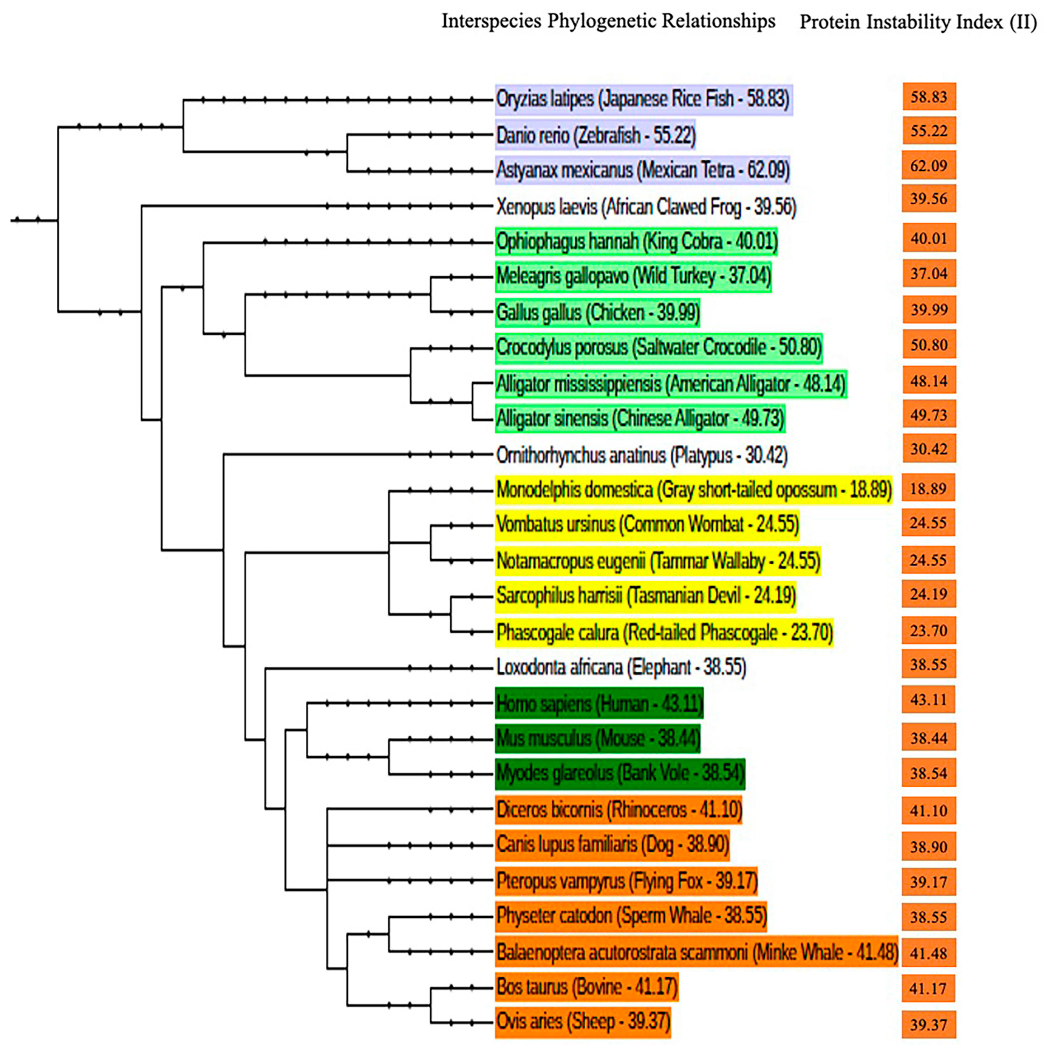 Brainsci 15 00250 g003 Brainsci 15 00250 g003